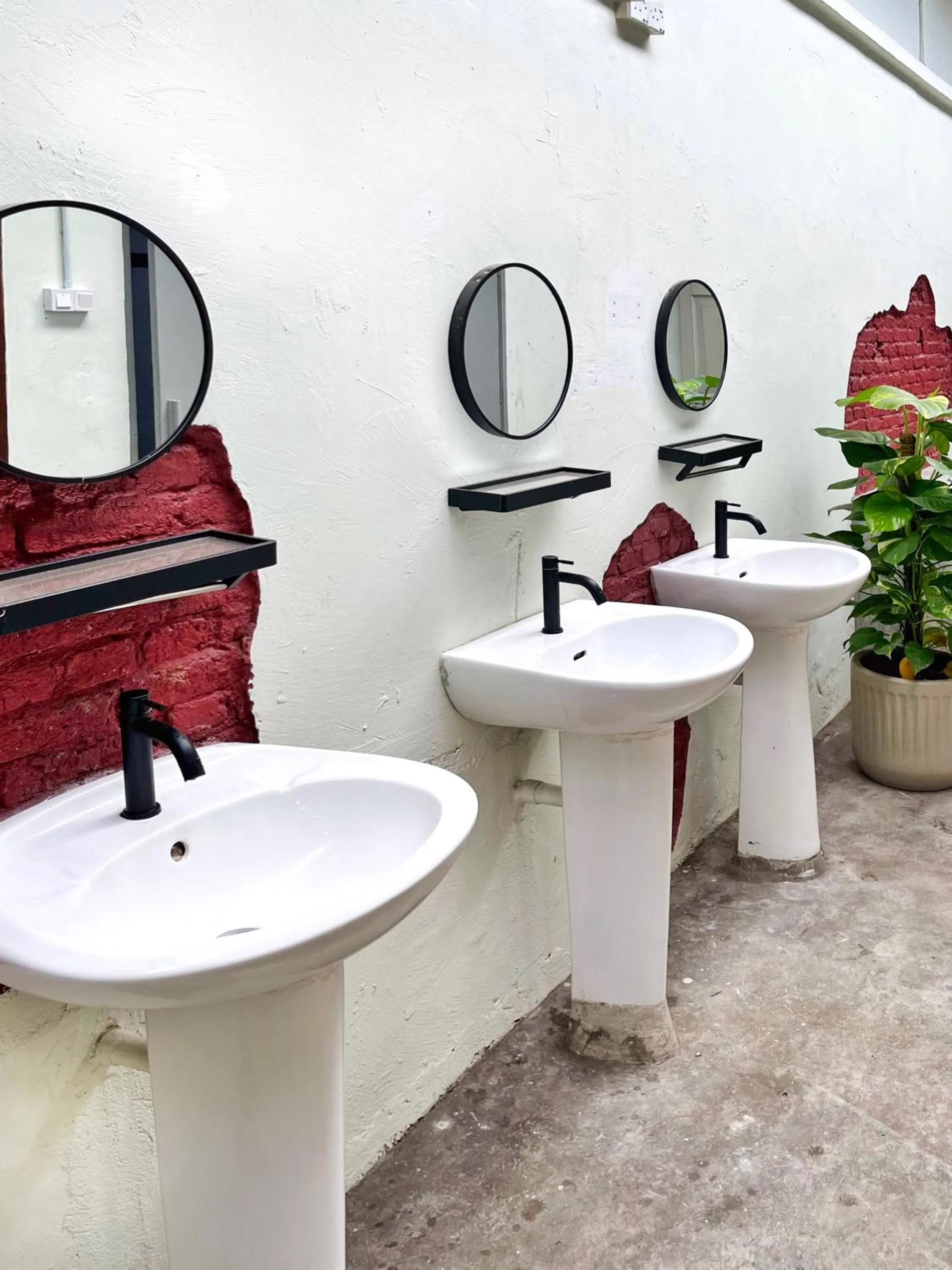 Toilet in Pine Muntri