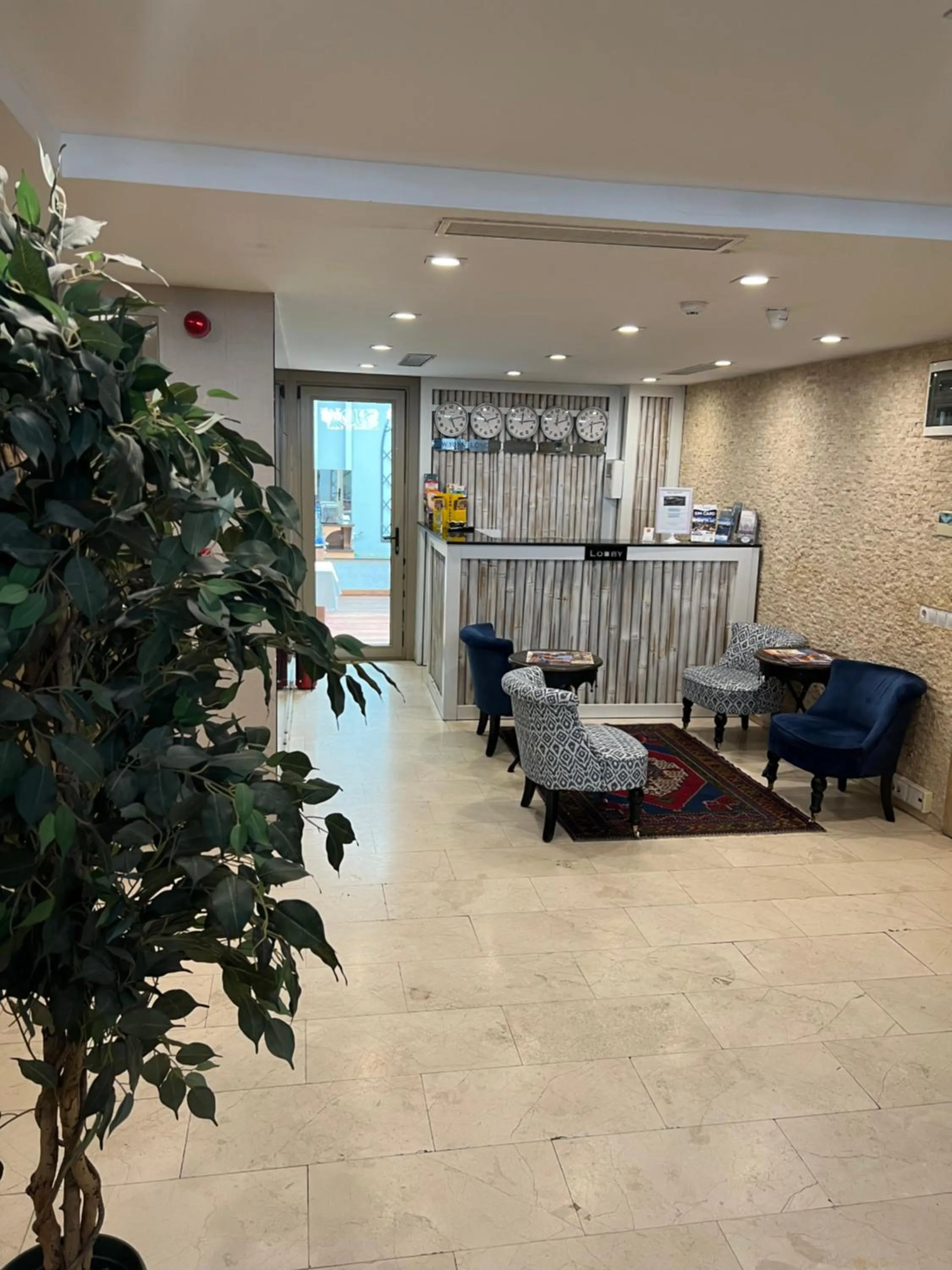 Lobby or reception in Aybar Hotel & Spa