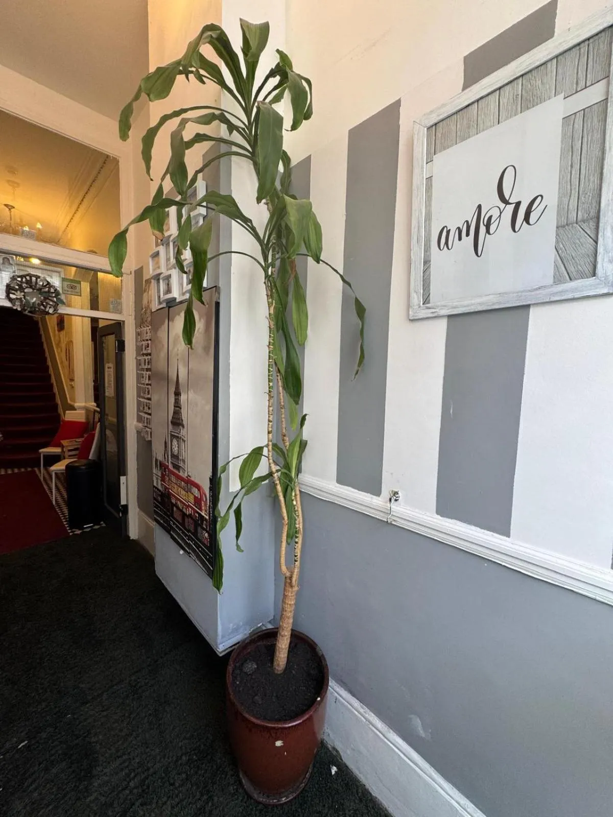 Lobby or reception in Anwar House