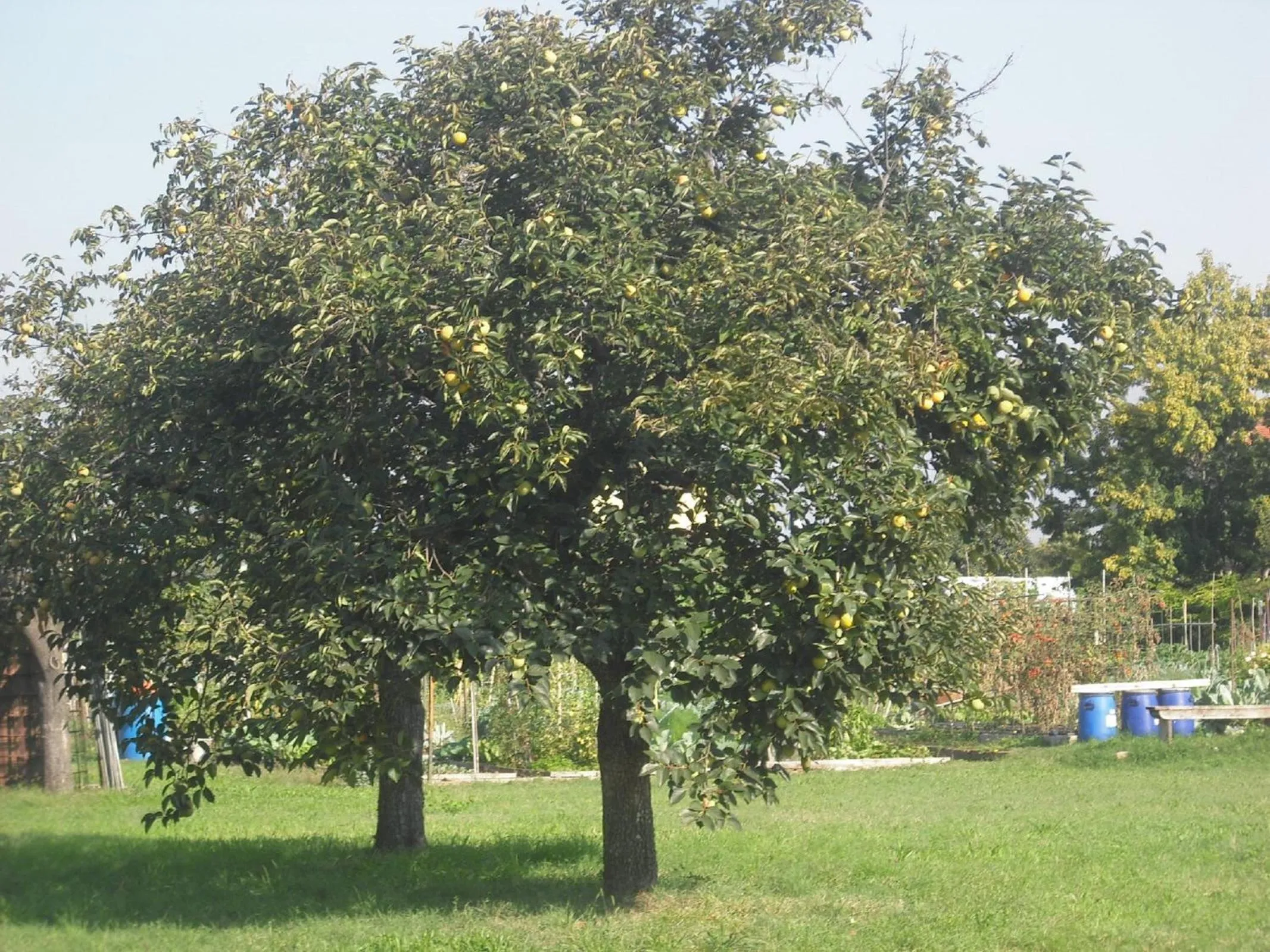 View (from property/room) in Casetta Bianca B&B