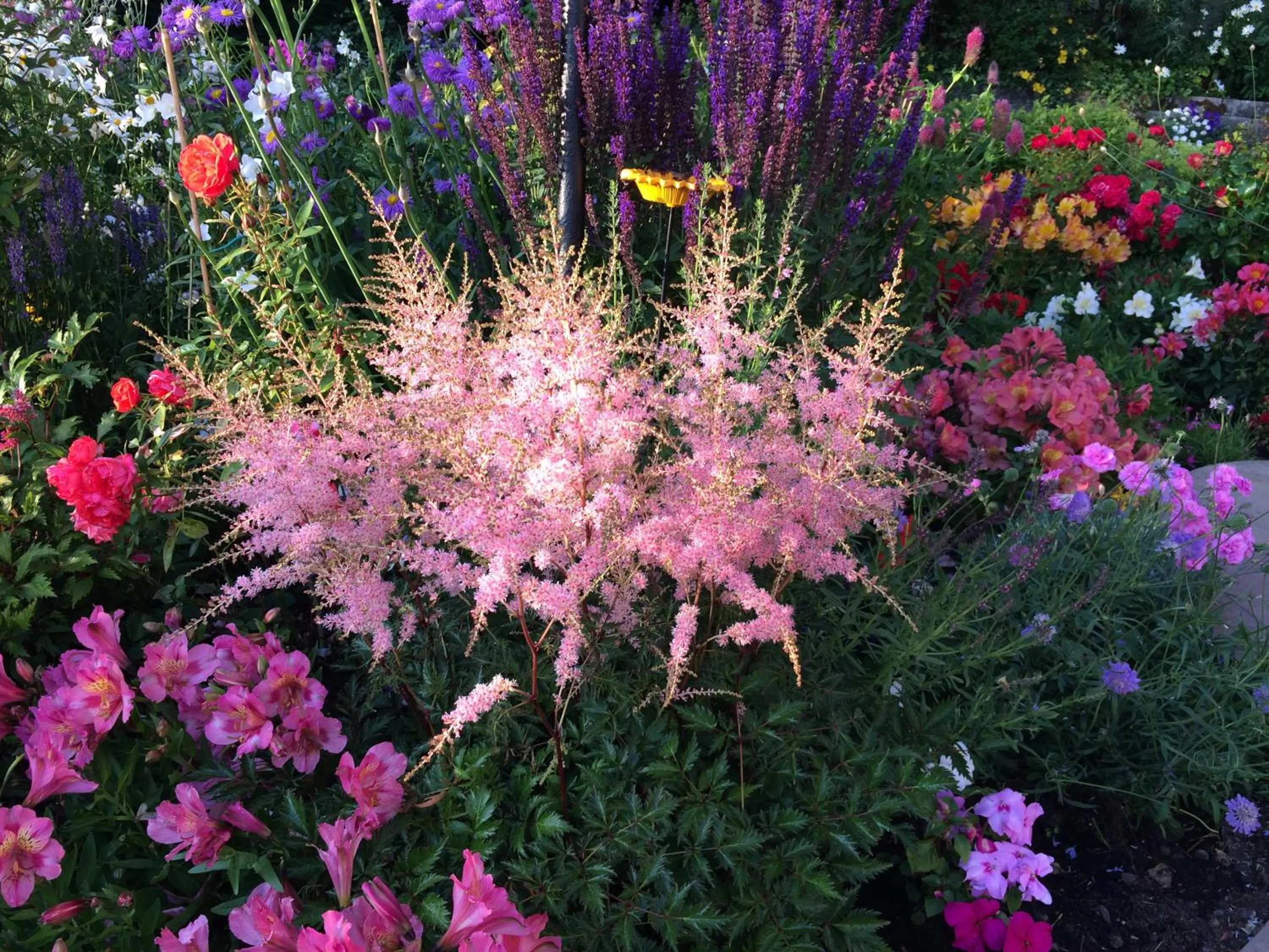 Garden in Castlecroft Bed and Breakfast