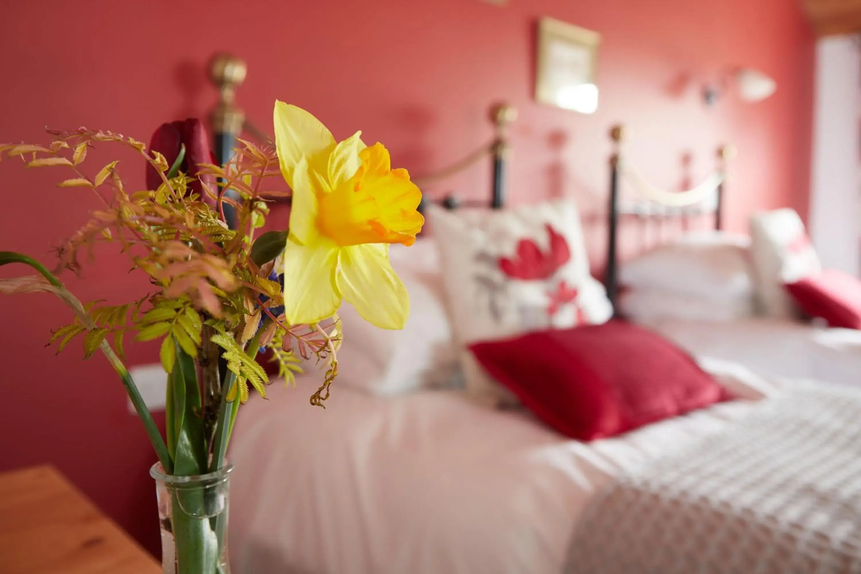 Large Twin Room - single occupancy in Dairy Barns Large Twin Room - single occupancy in Dairy Barns