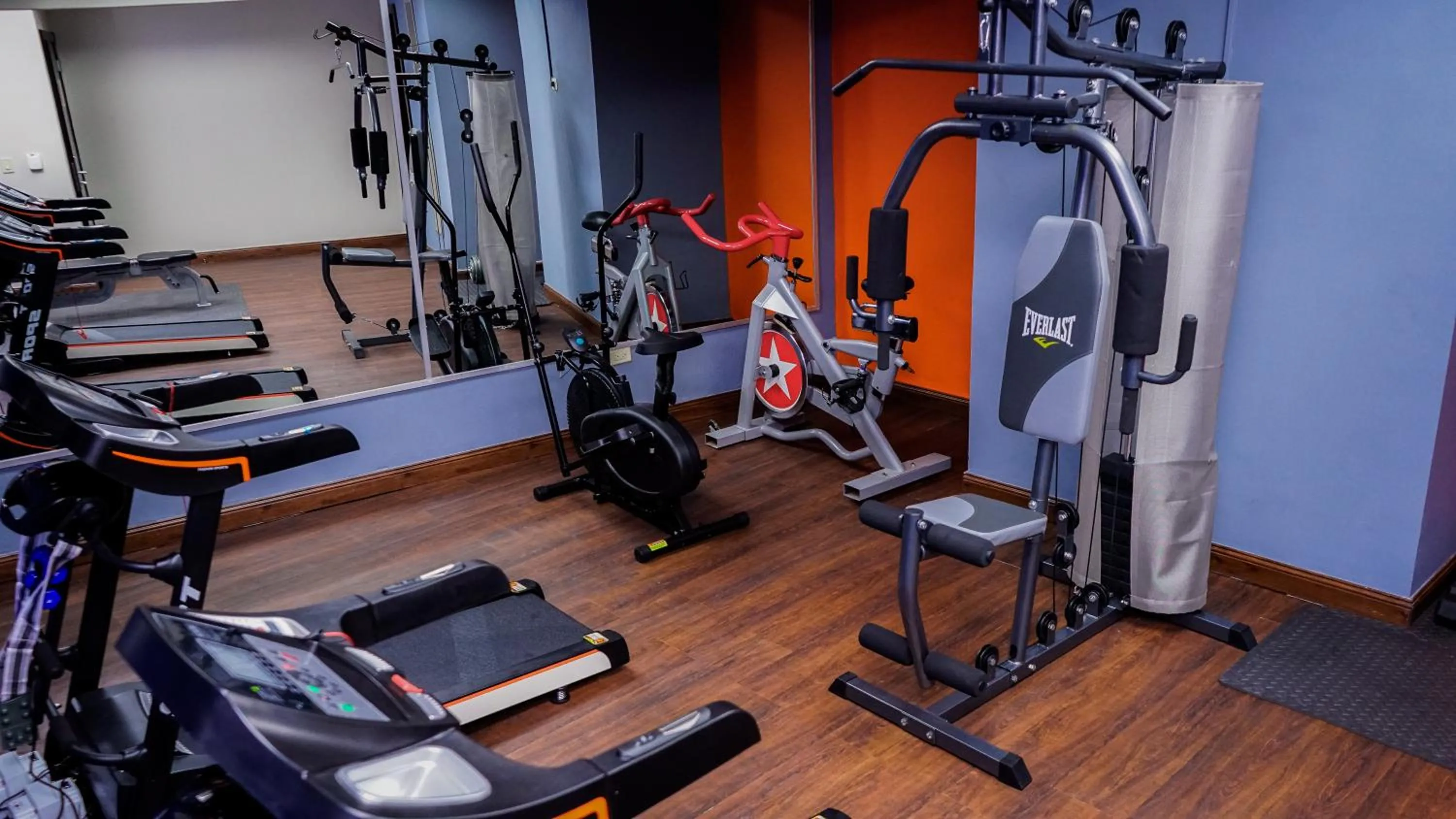 Fitness centre/facilities in Aranjuez Hotel & Suites