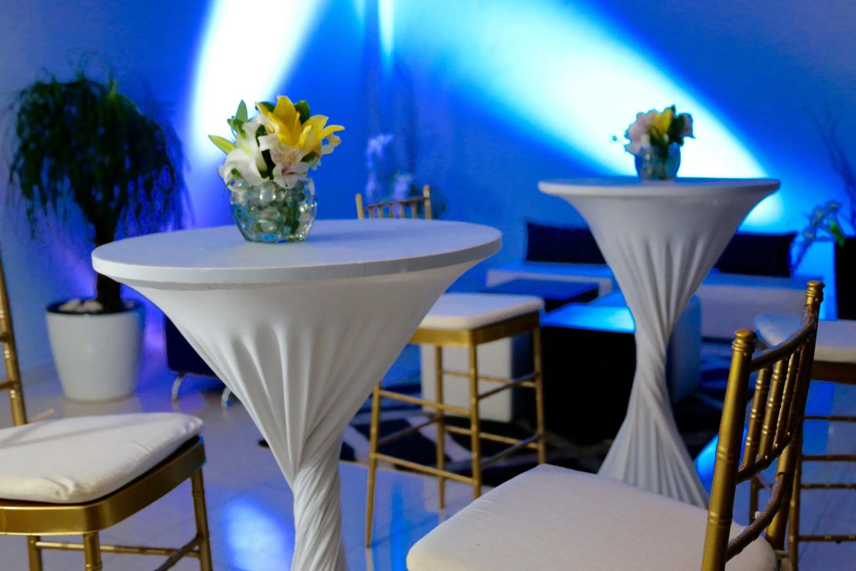 Lounge or bar in Aranjuez Hotel & Suites