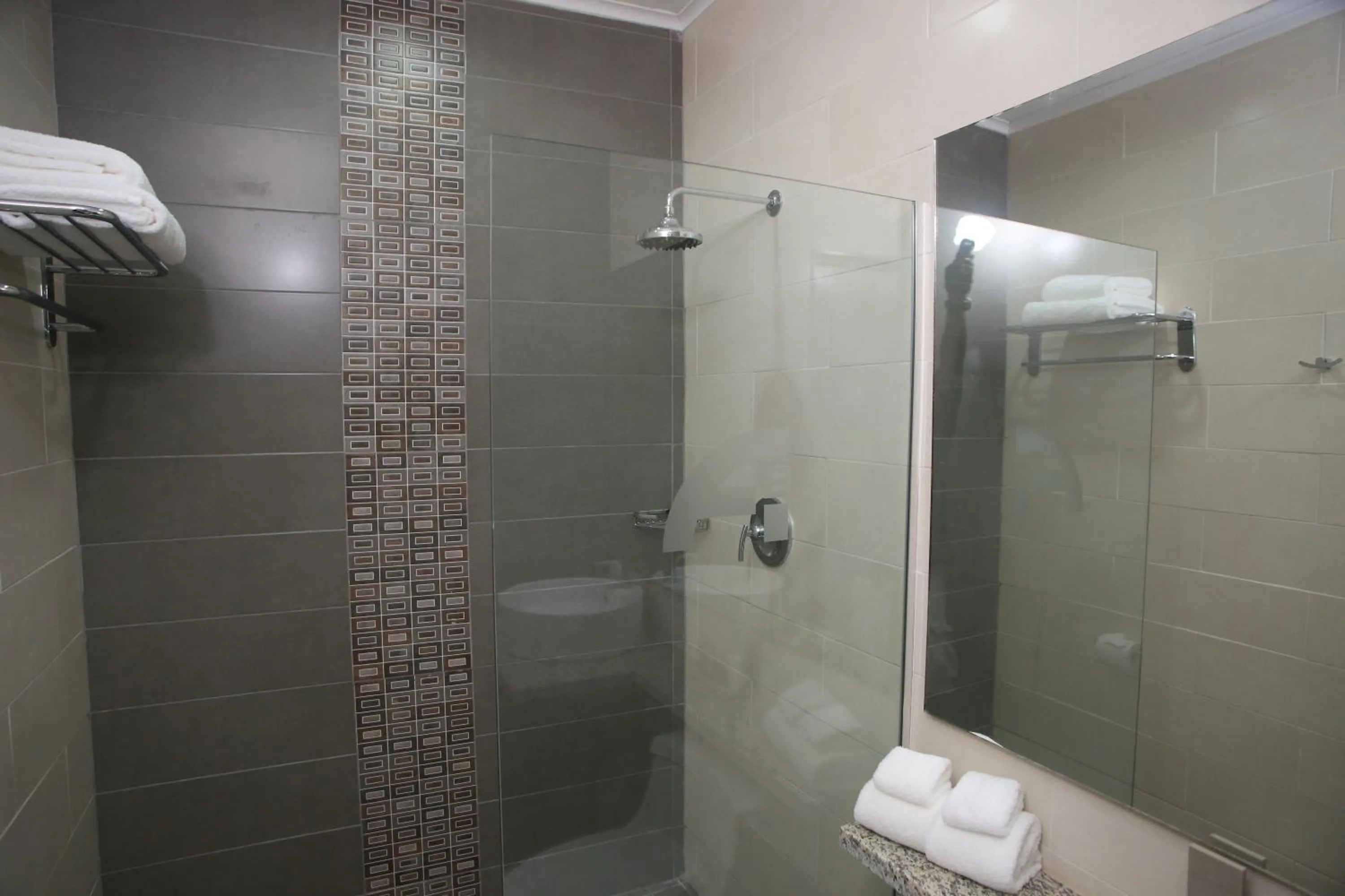 Shower in Aranjuez Hotel & Suites