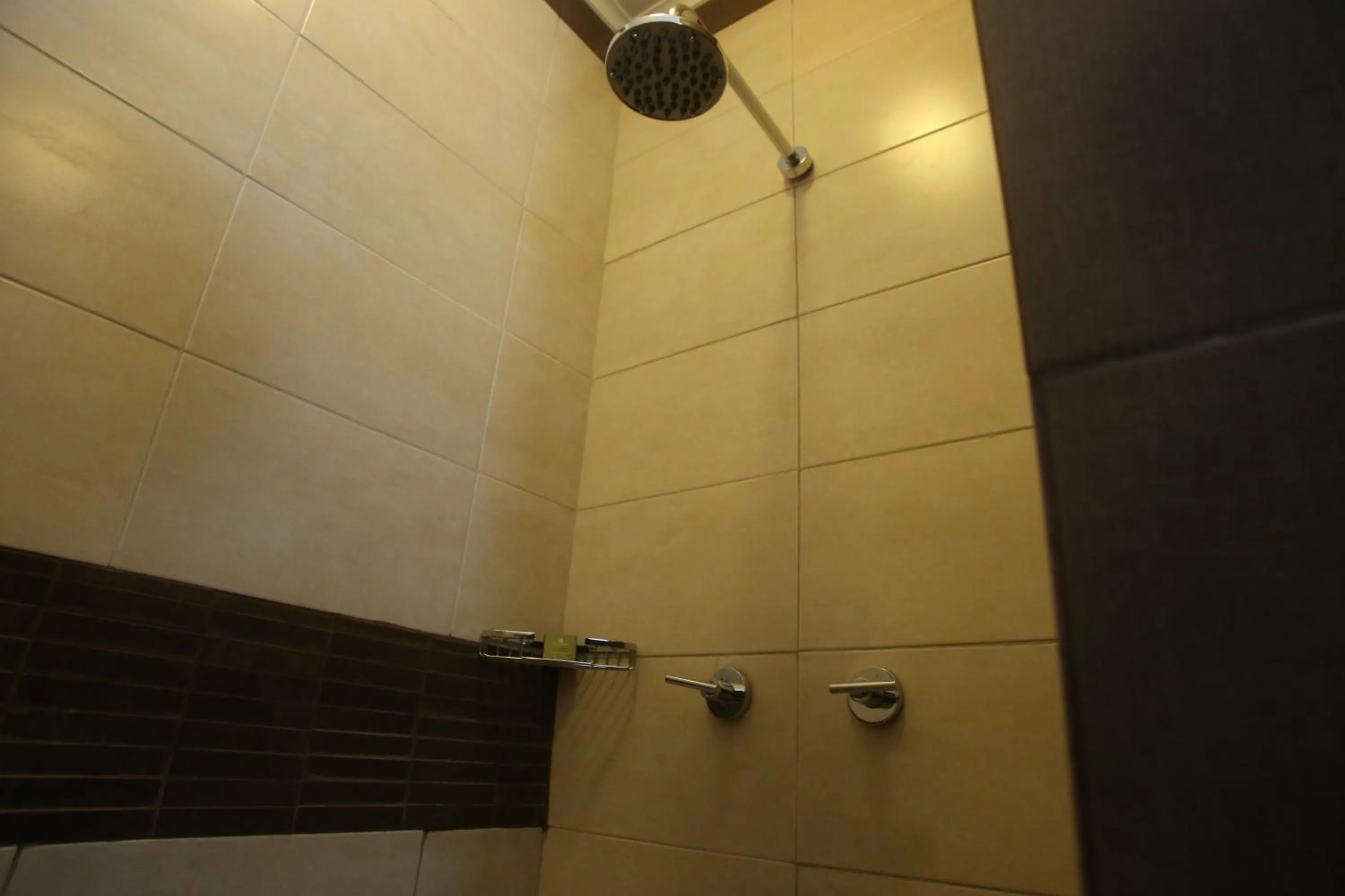 Bathroom in Aranjuez Hotel & Suites