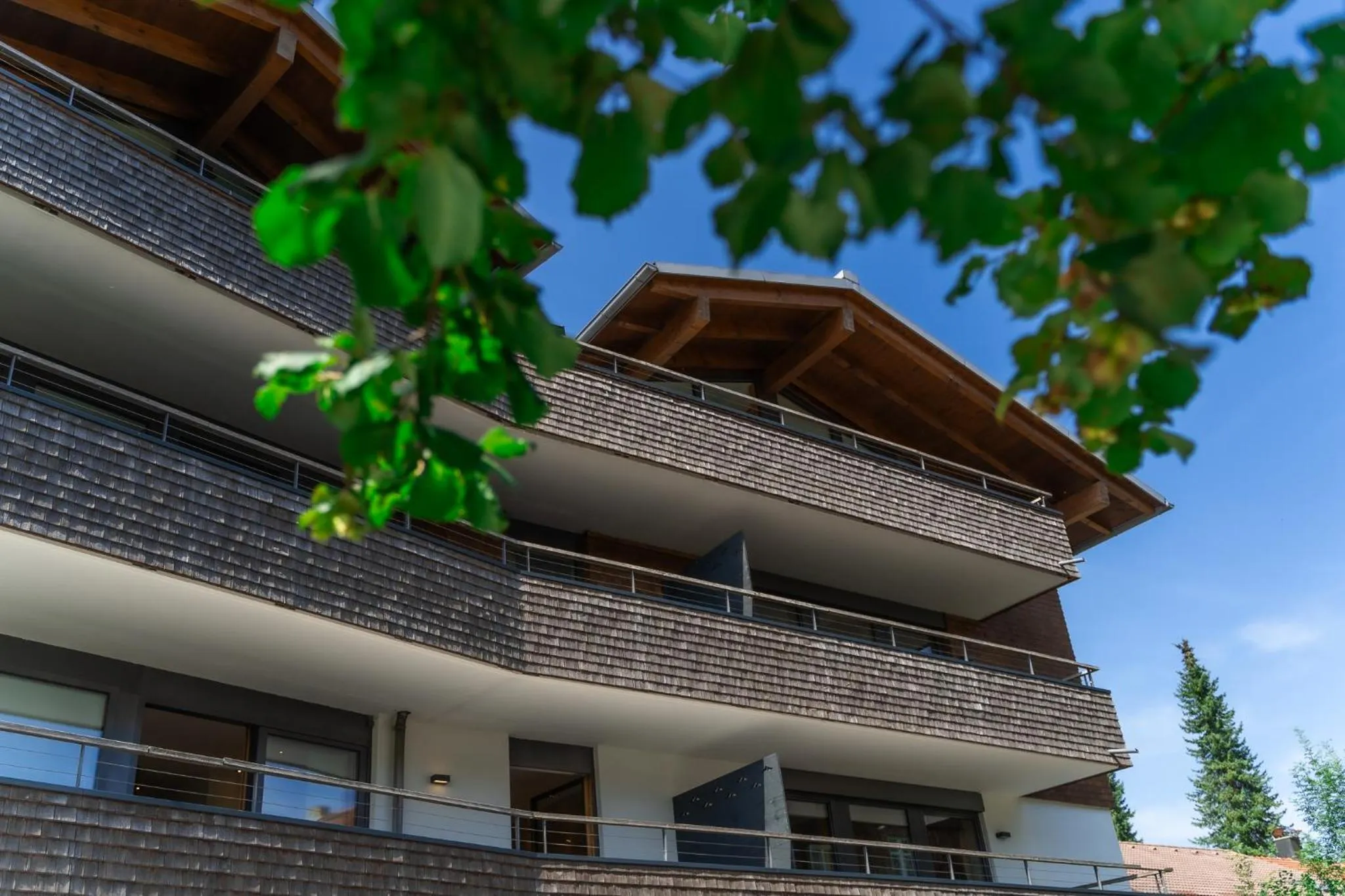 View (from property/room) in Das.Hochgrat