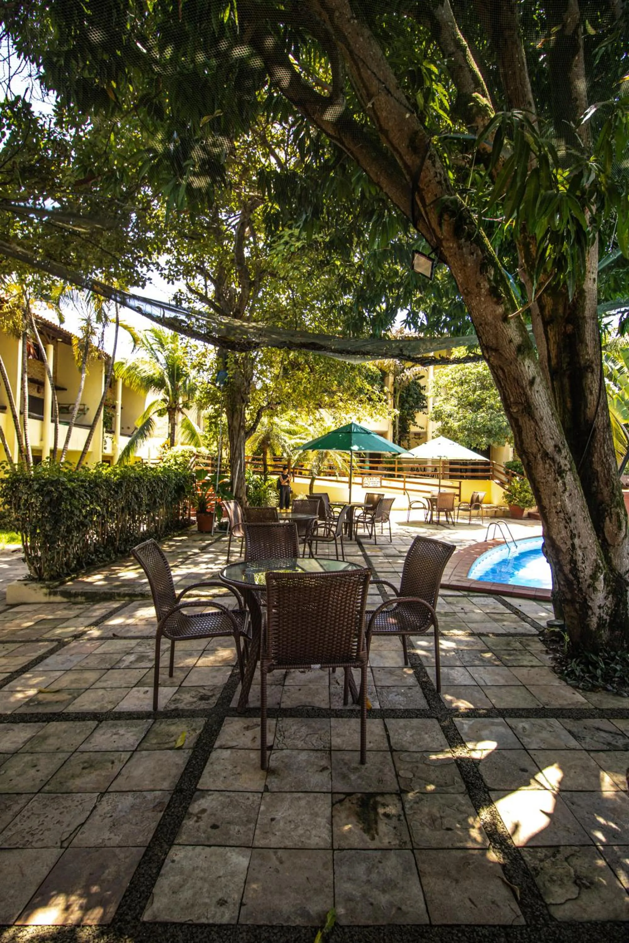 Solar Pipa by Pipa Centro