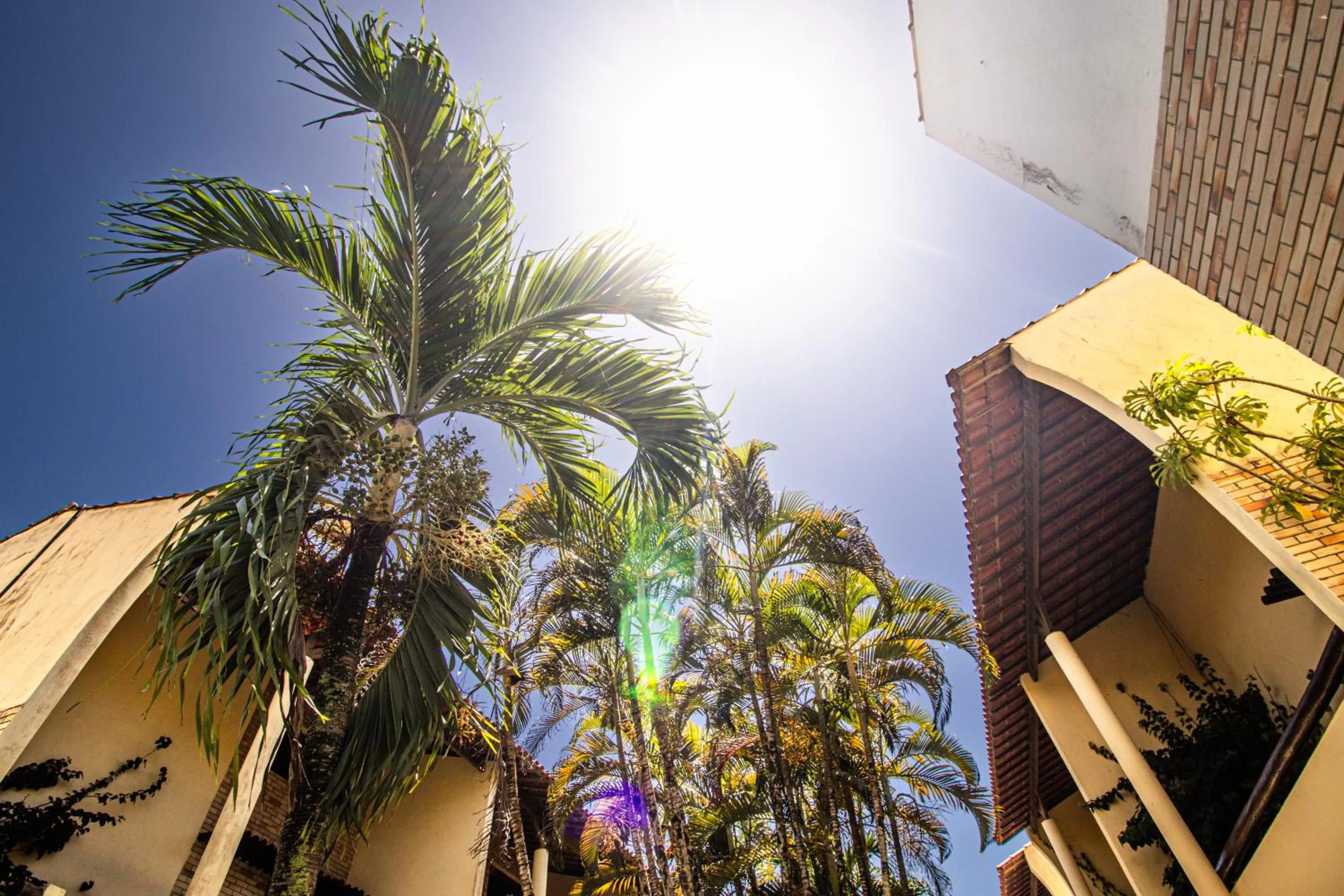 Solar Pipa by Pipa Centro