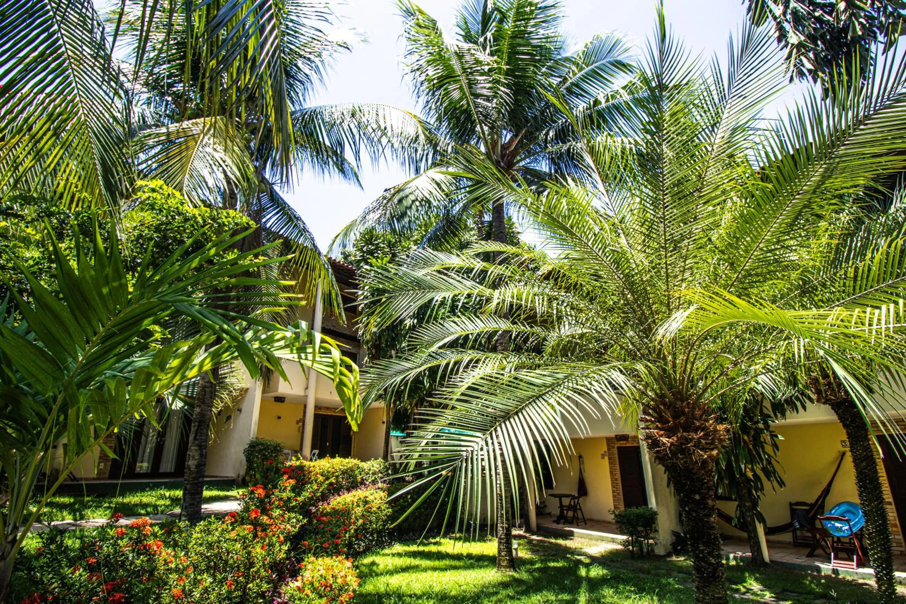 Solar Pipa by Pipa Centro