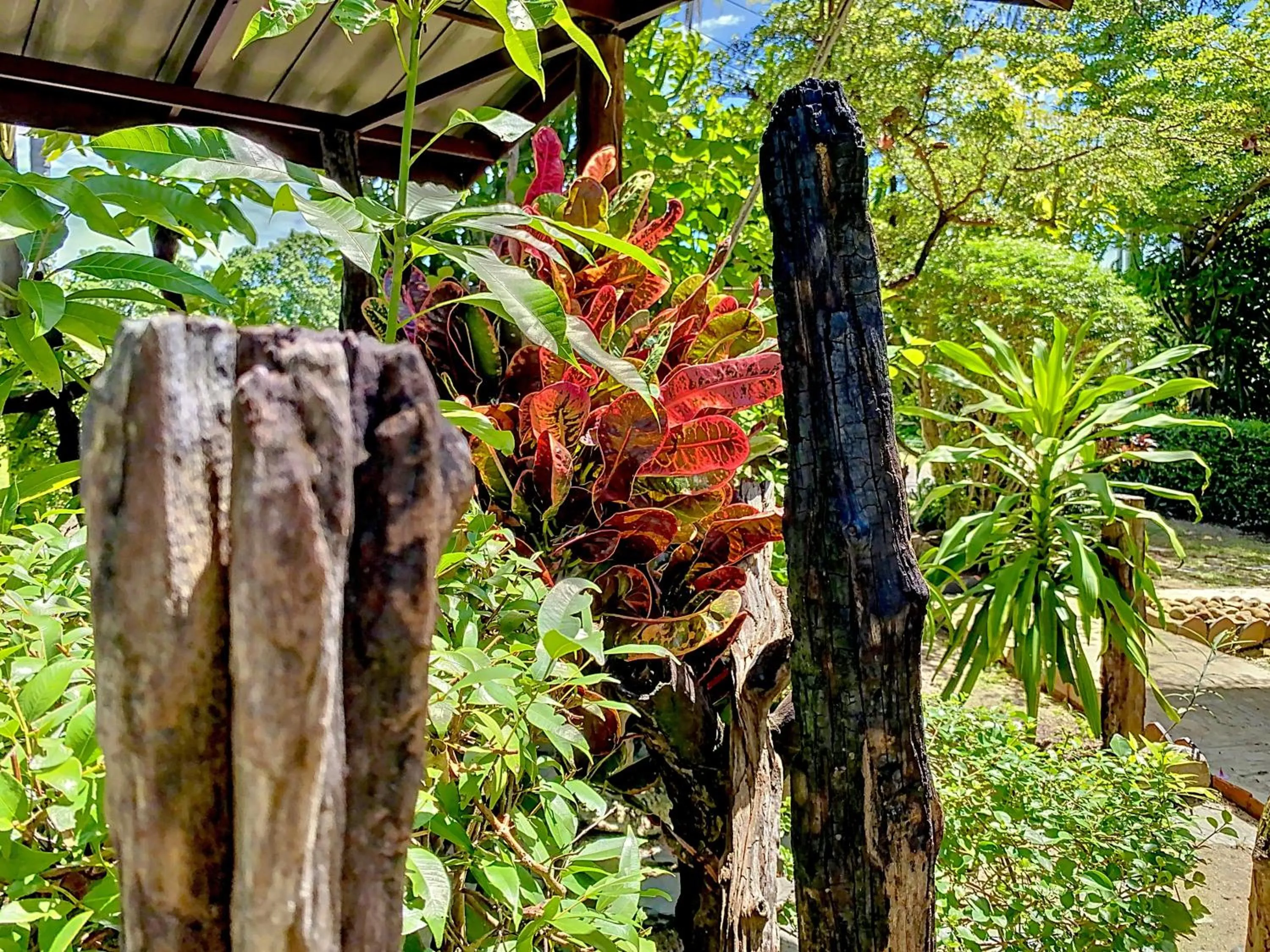 Garden in Sunanta Bungalow