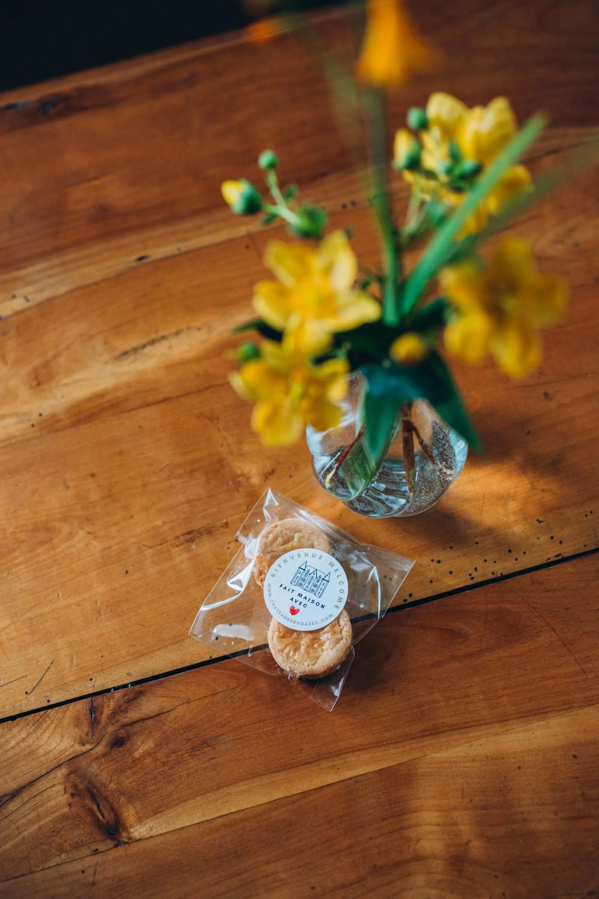 Château de KERVOAZEC - Chambres d'hôtes