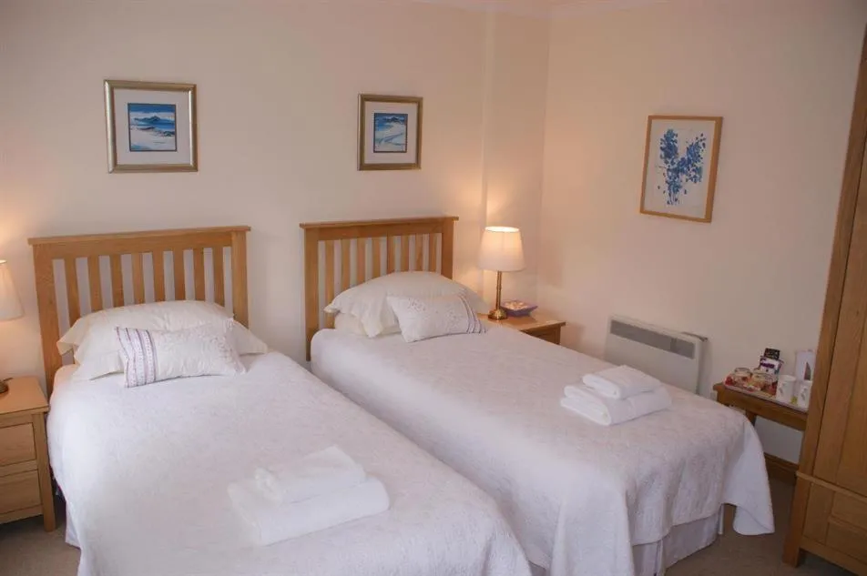 Standard Twin Room in Greencourt Guest House