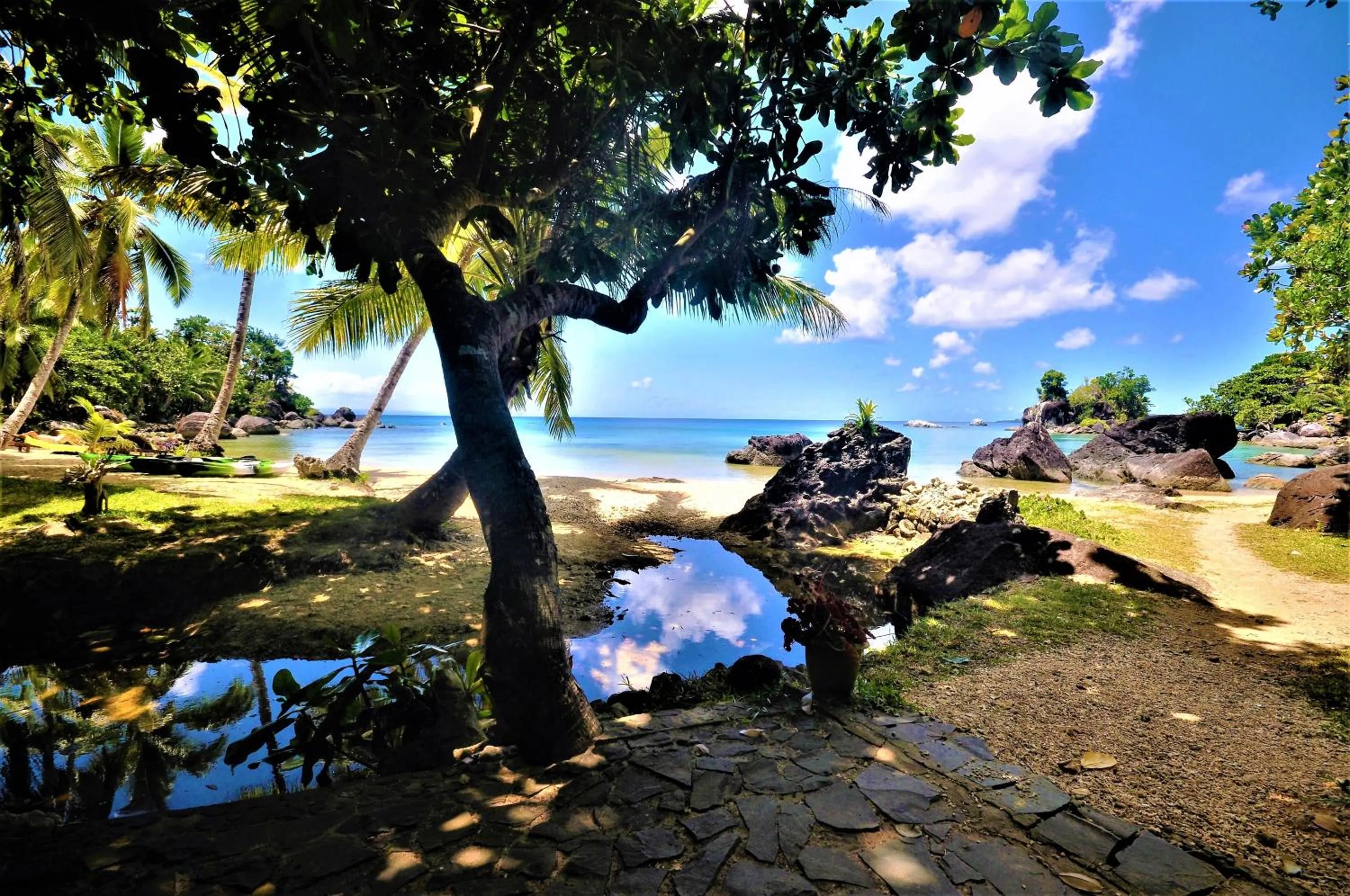 Natural landscape in Natiora Green Lodge