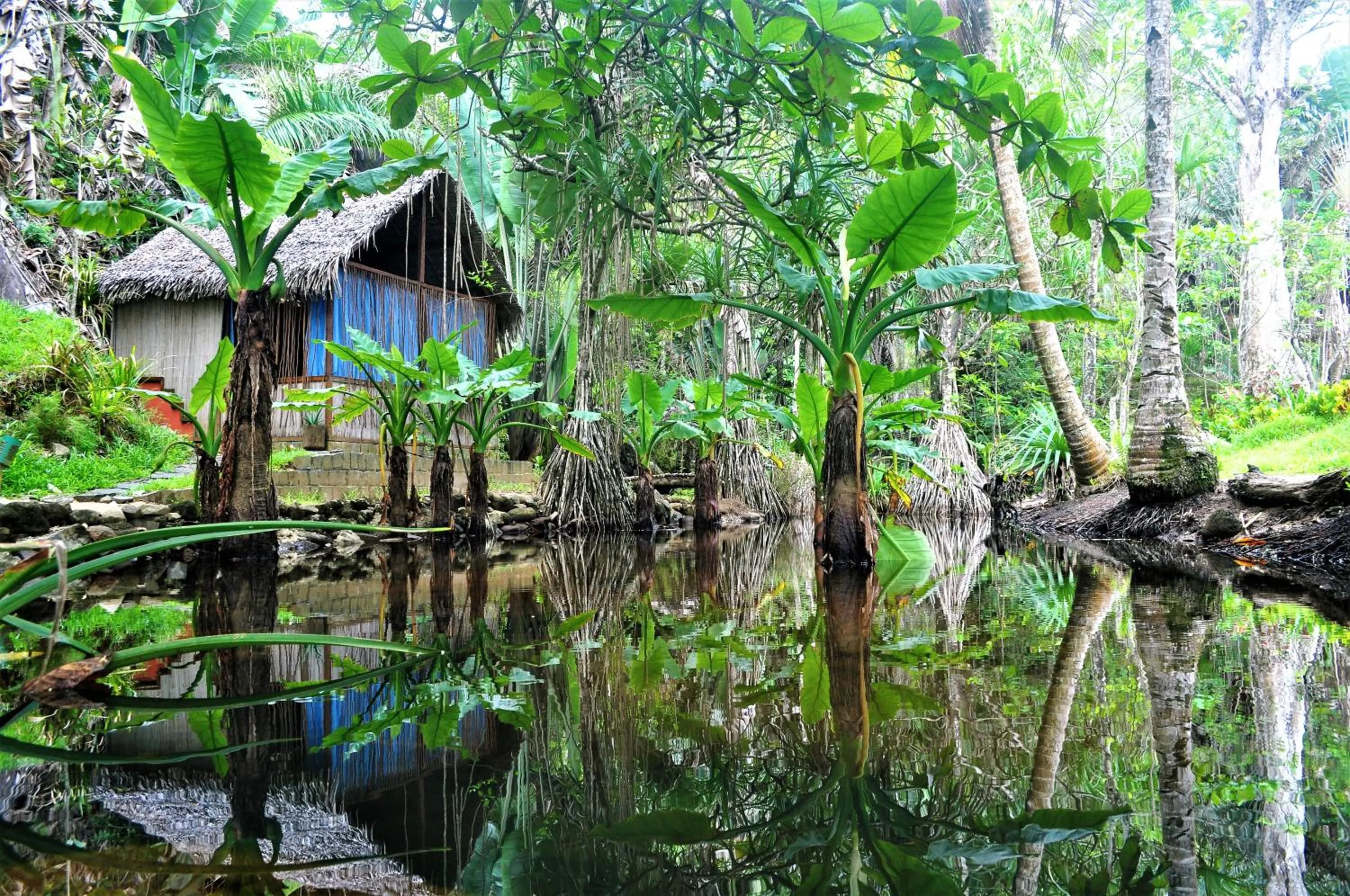 Natural landscape in Natiora Green Lodge
