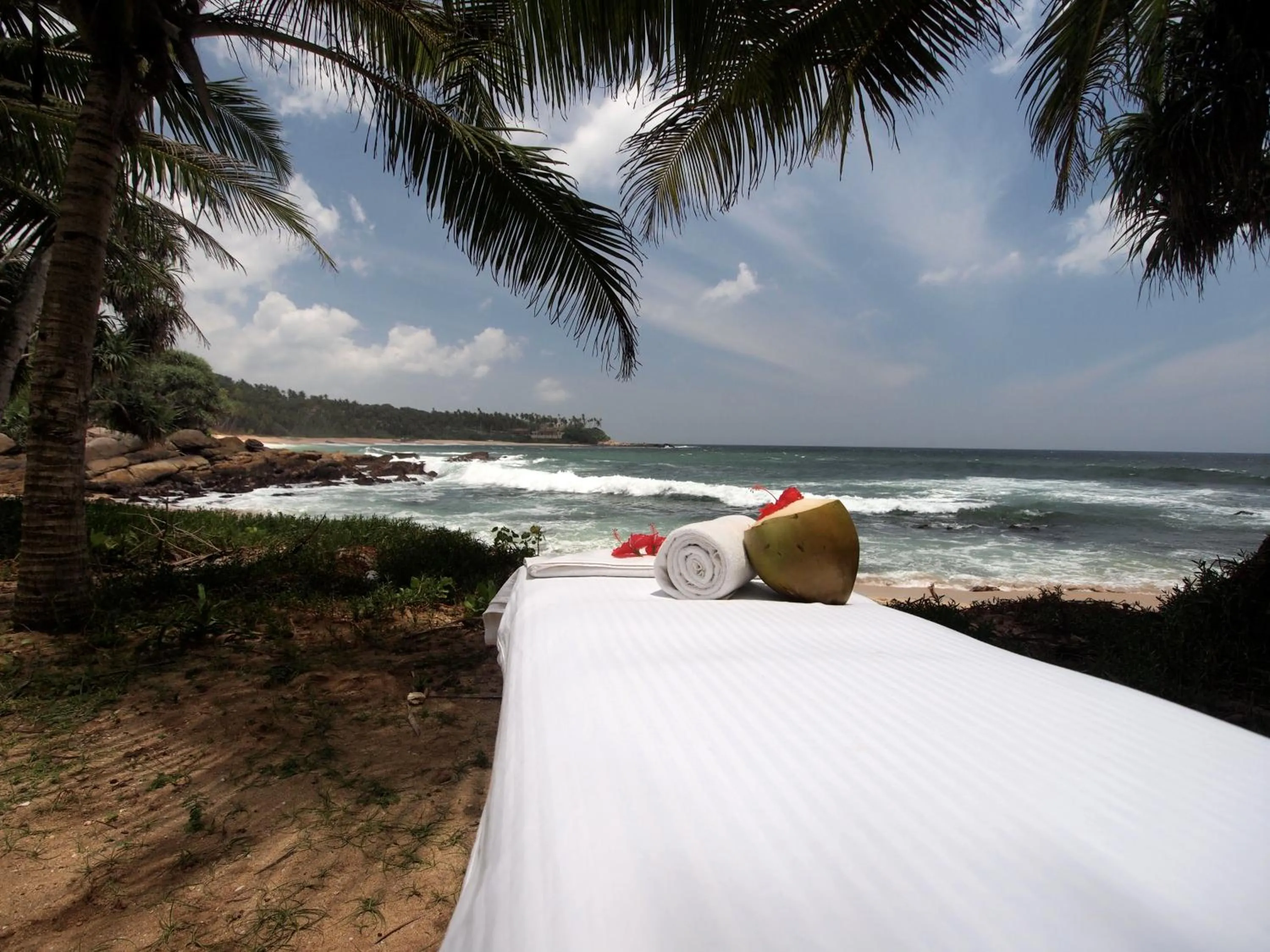 Activities in Little Tamarind