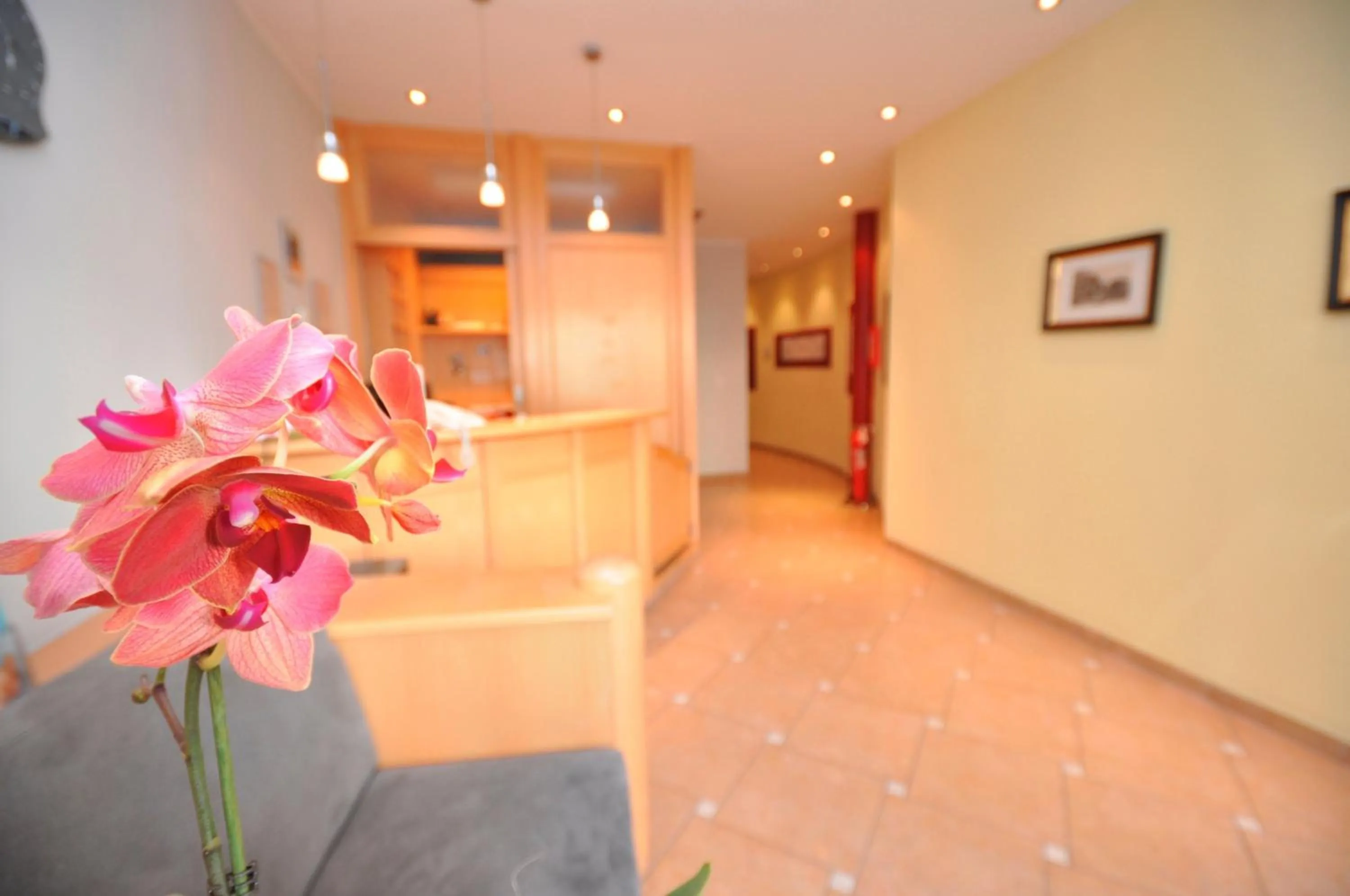 Lobby or reception in Cityhotel Tallero