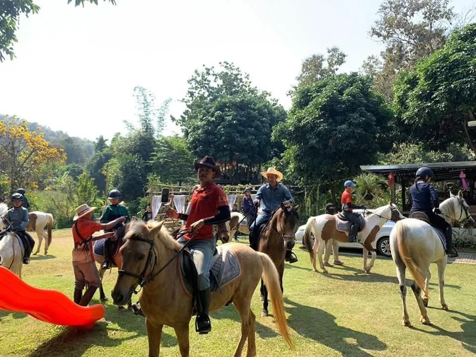 Horse-riding in lion resort & cafe