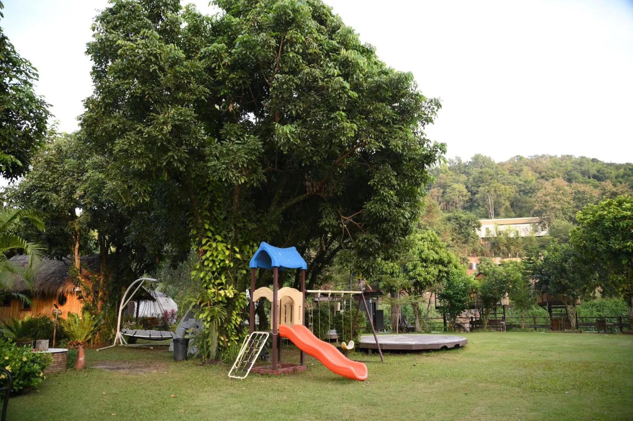 Property building in lion resort & cafe