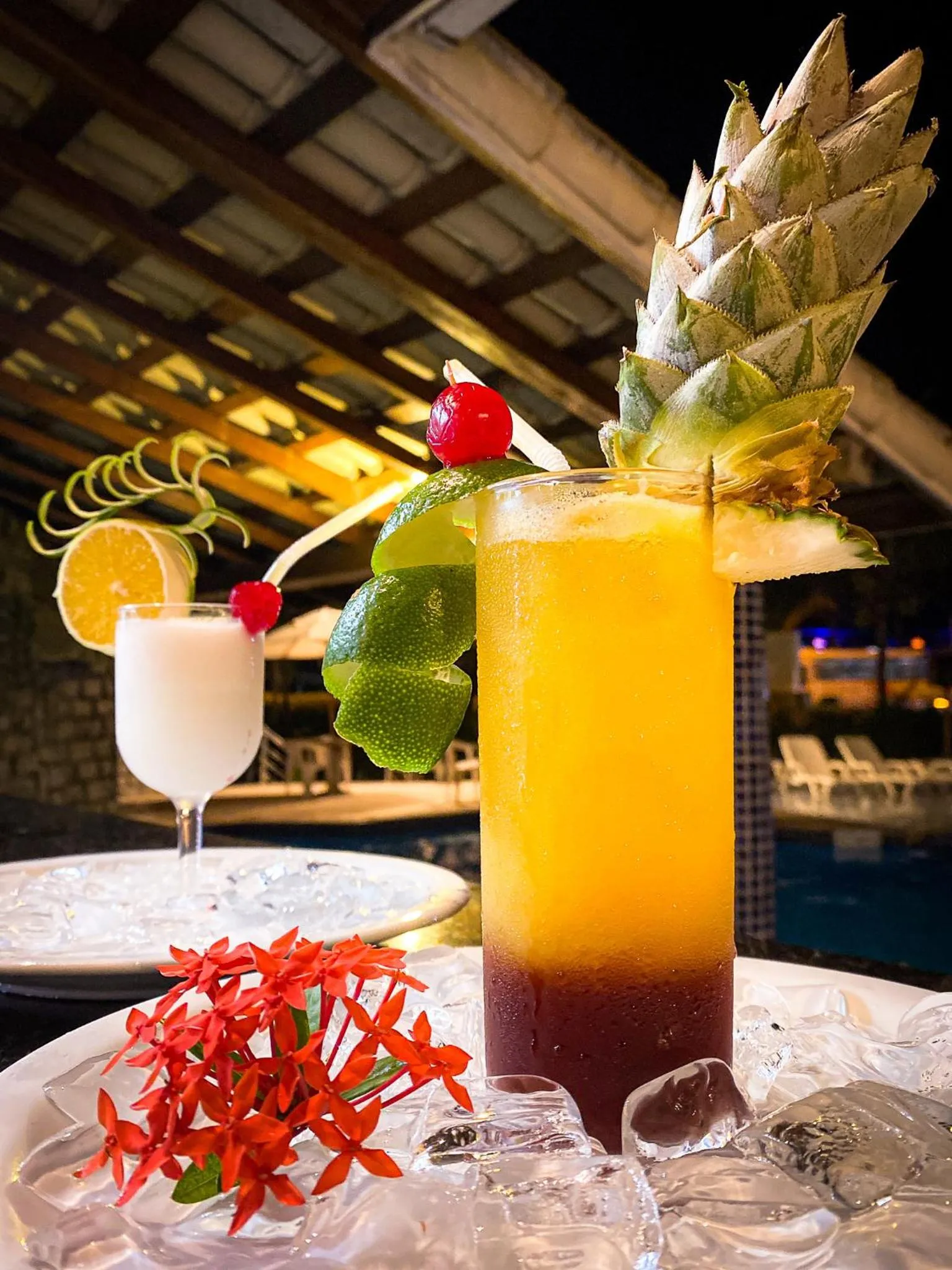 Bosque do Porto Praia Hotel