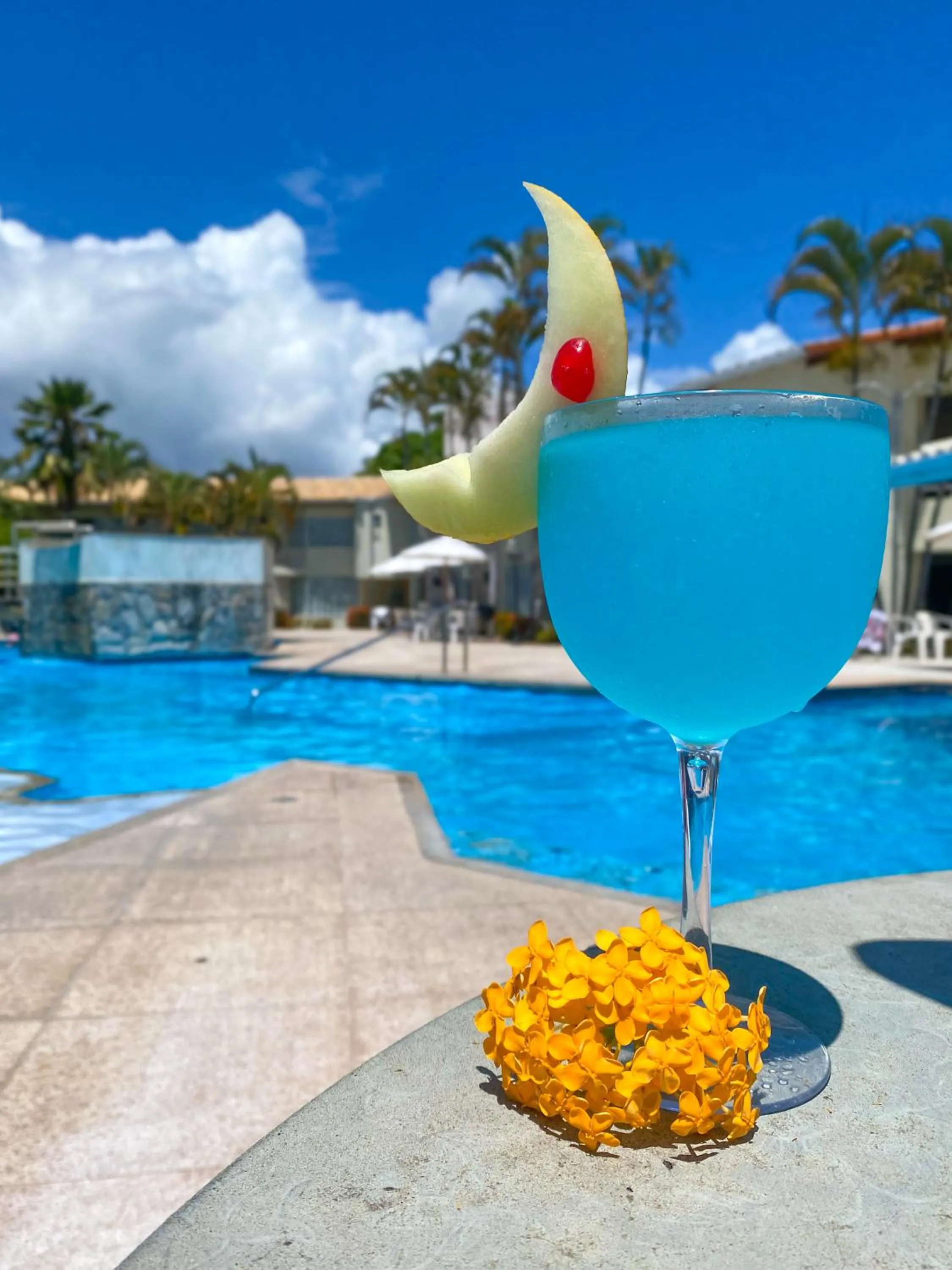 Bosque do Porto Praia Hotel