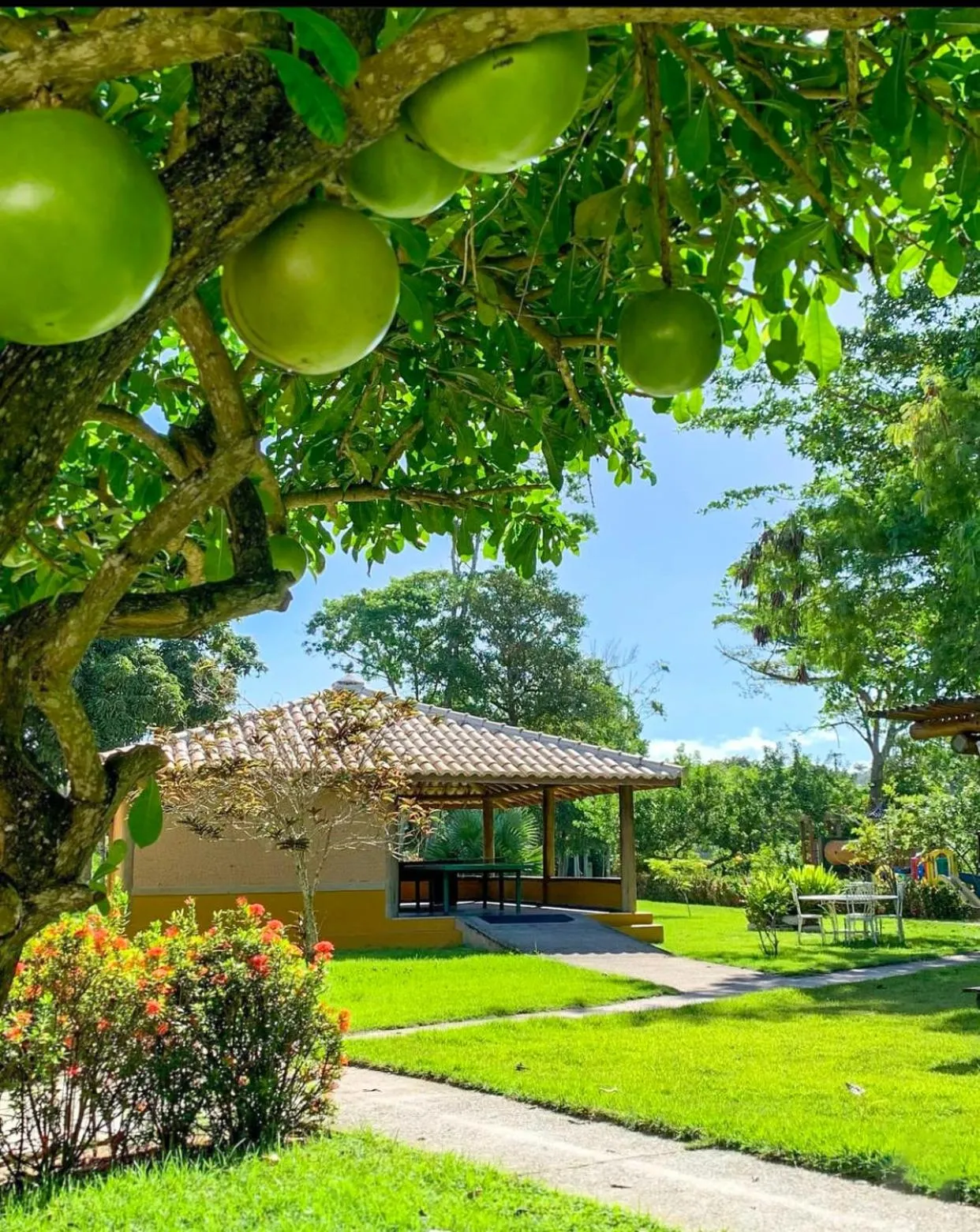 Bosque do Porto Praia Hotel