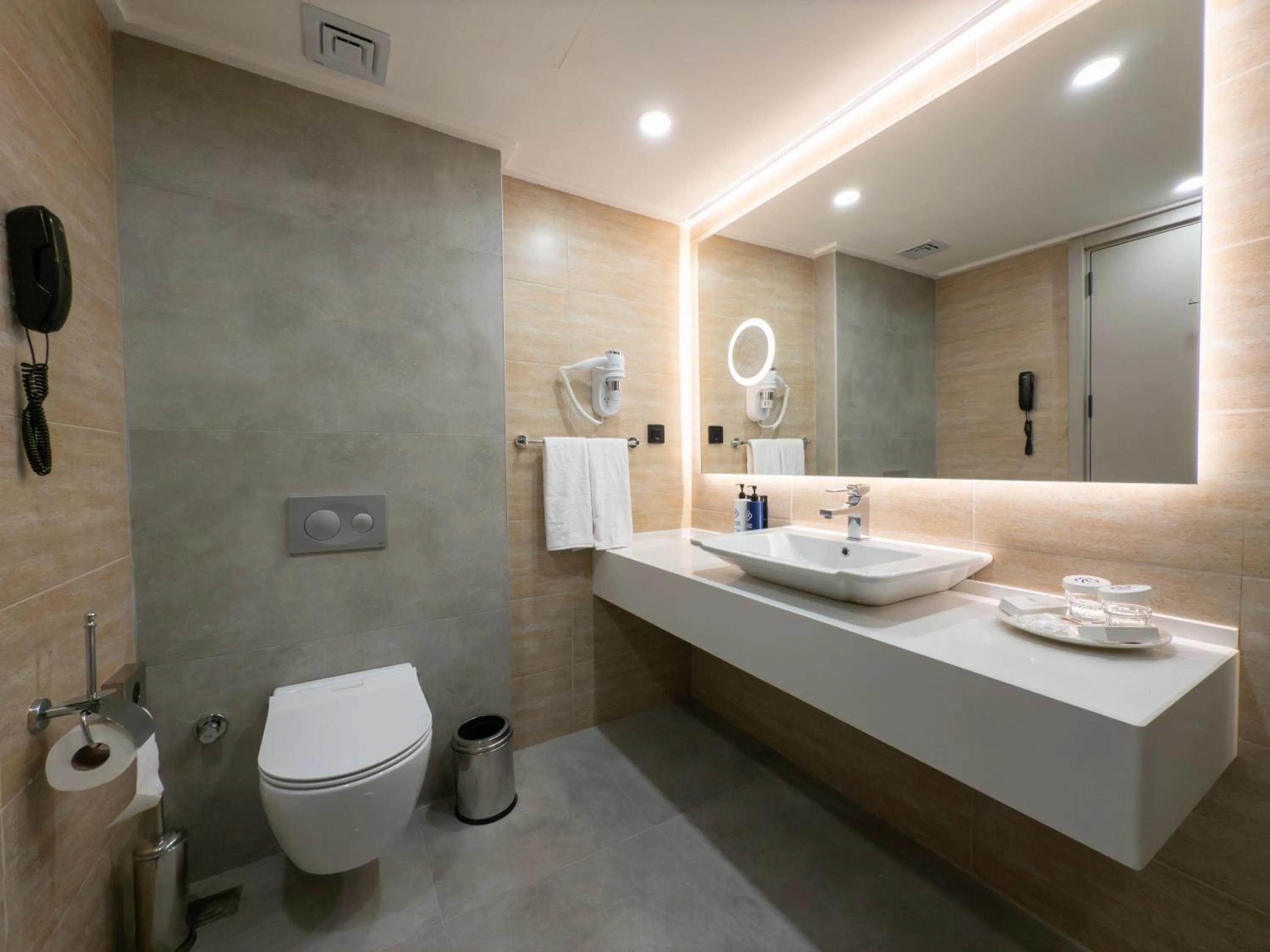 Toilet in Dedeman Adana