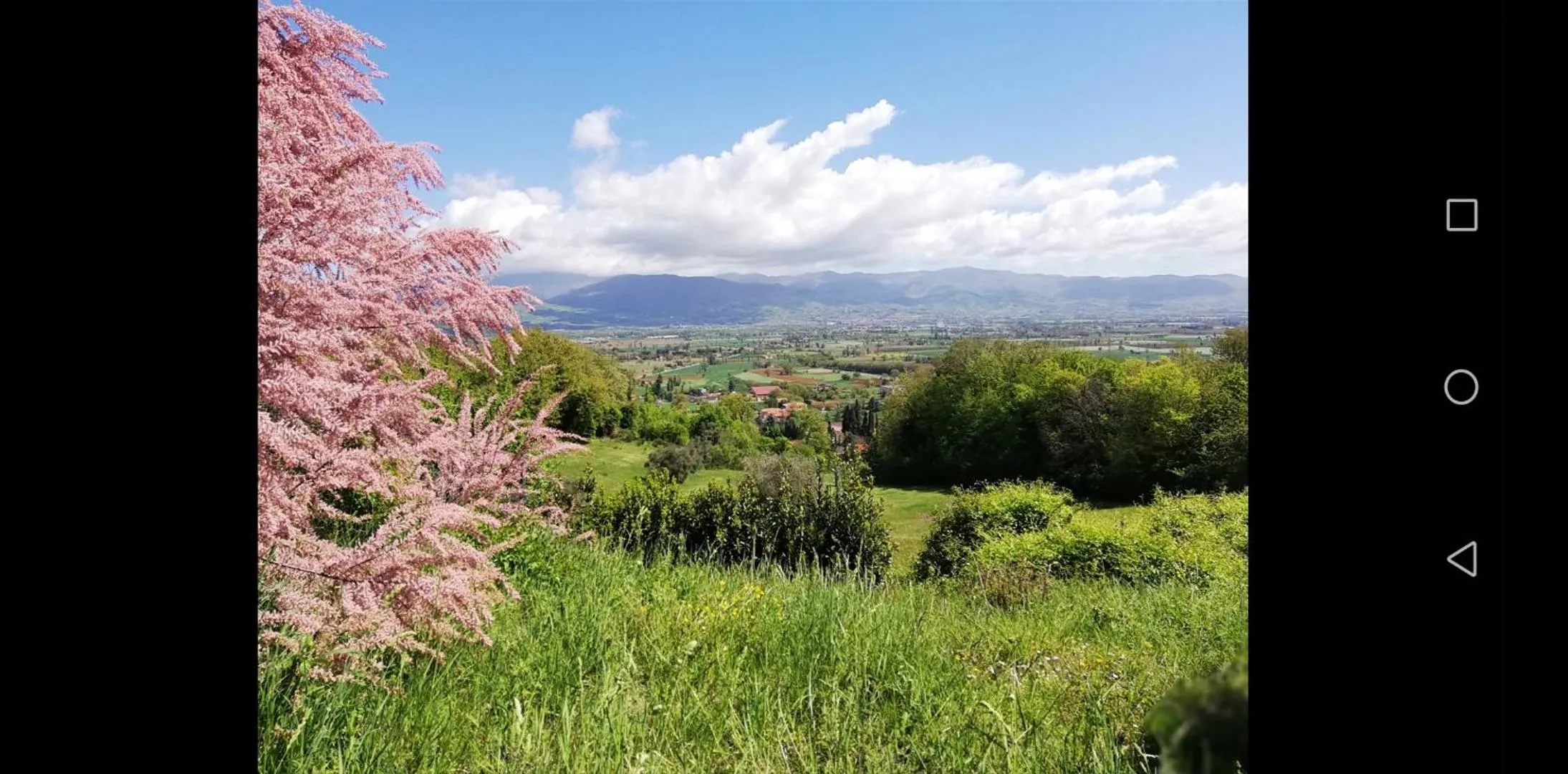 Natural landscape in Tinaia