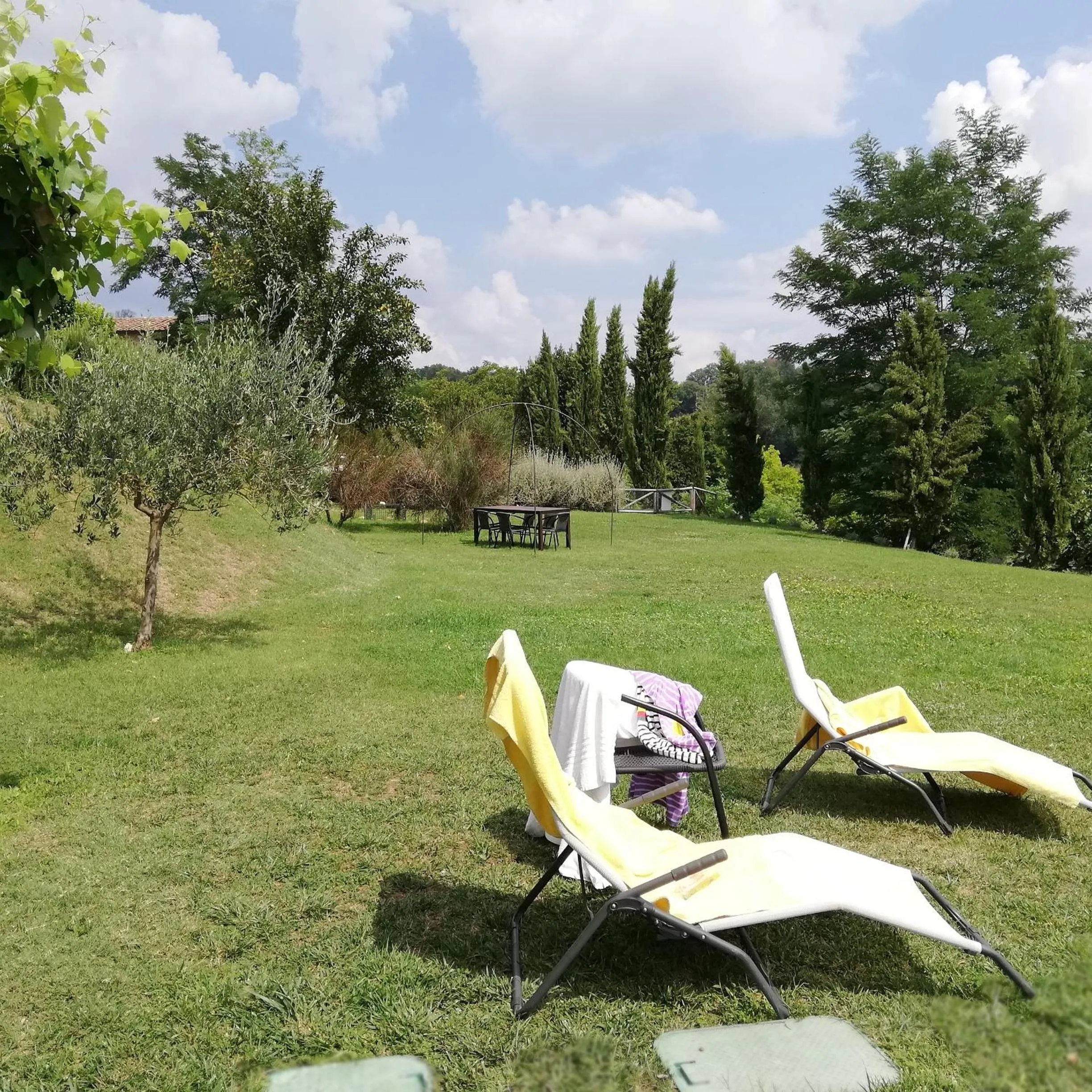 Garden in Tinaia