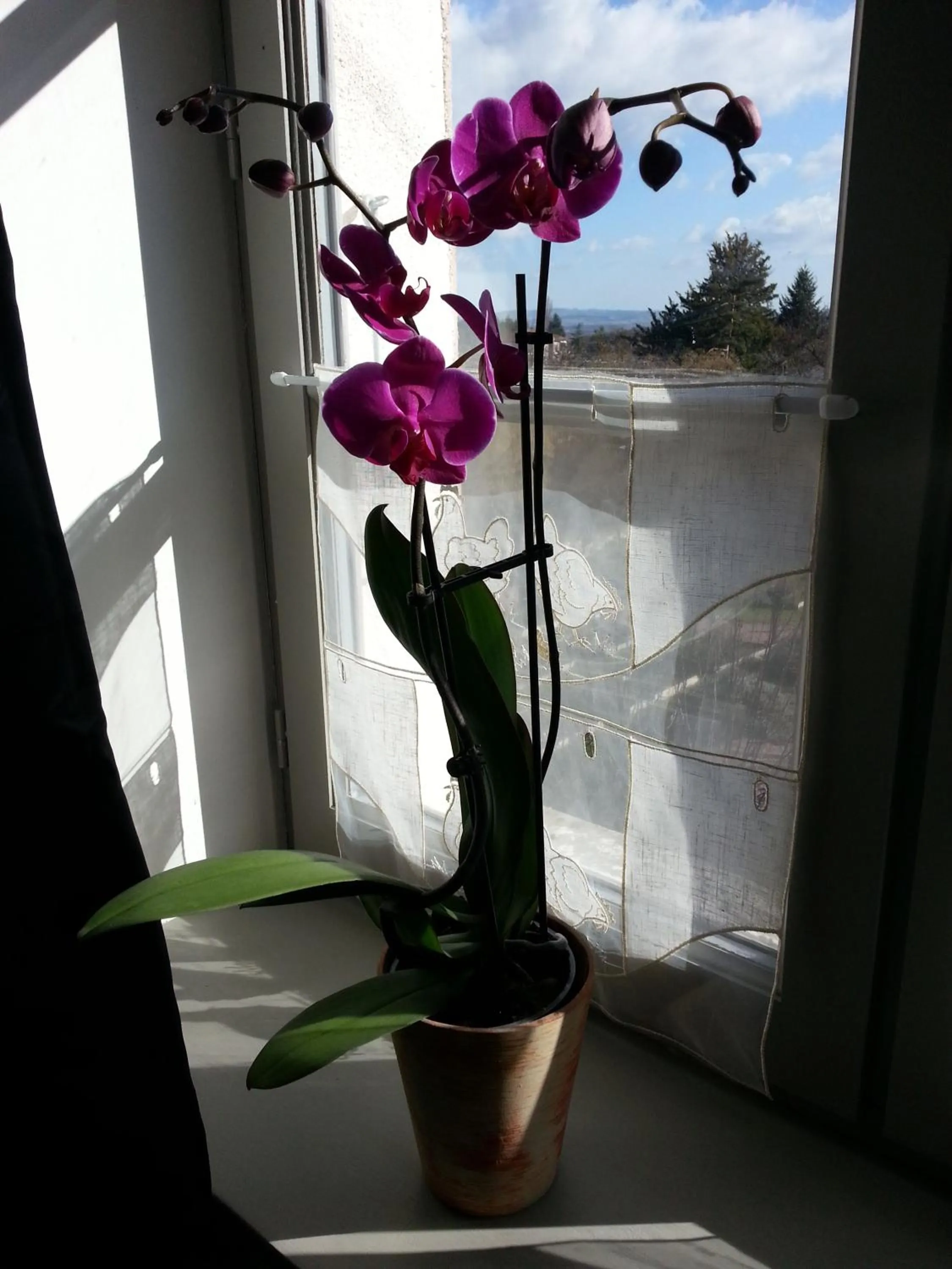 Decorative detail in Relais St Jacques - Roanne