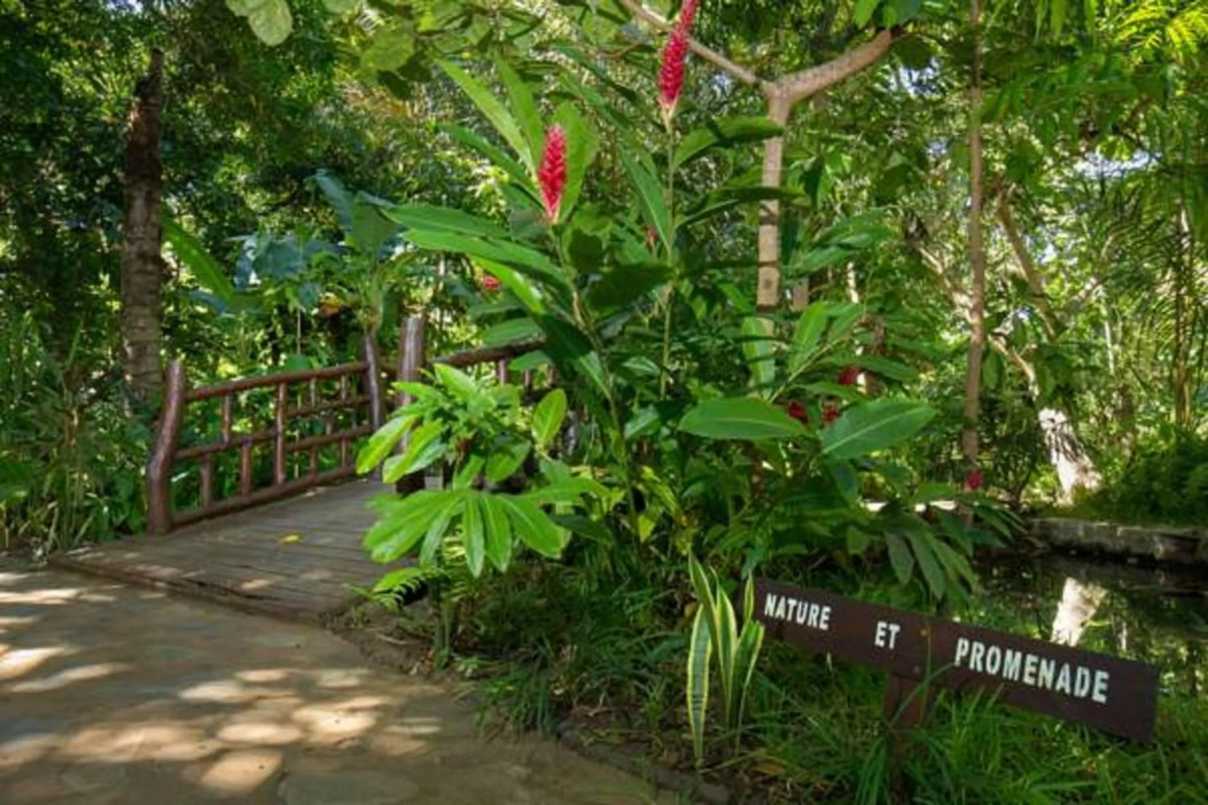 Other in Ravintsara Wellness Hotel