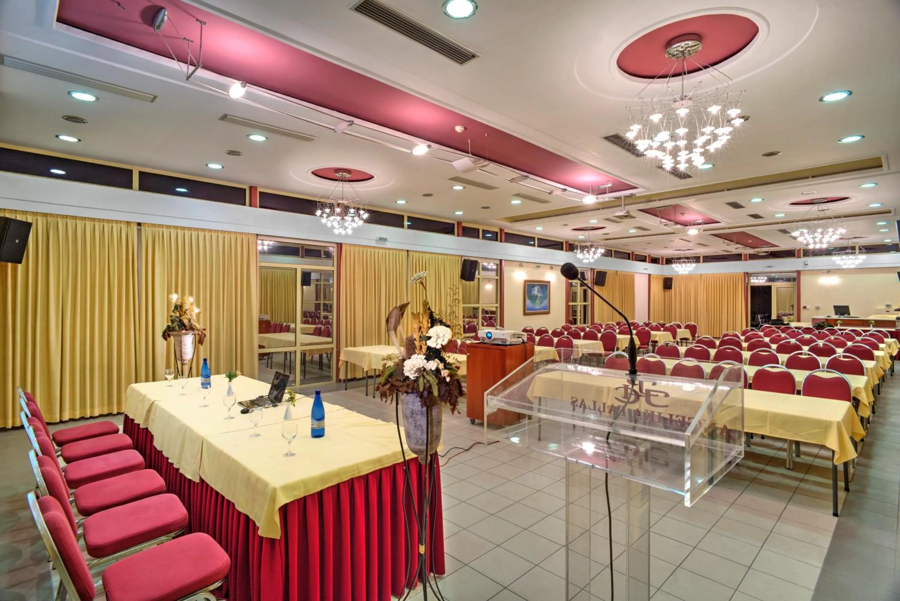 Business facilities in Angelika Pallas Hotel