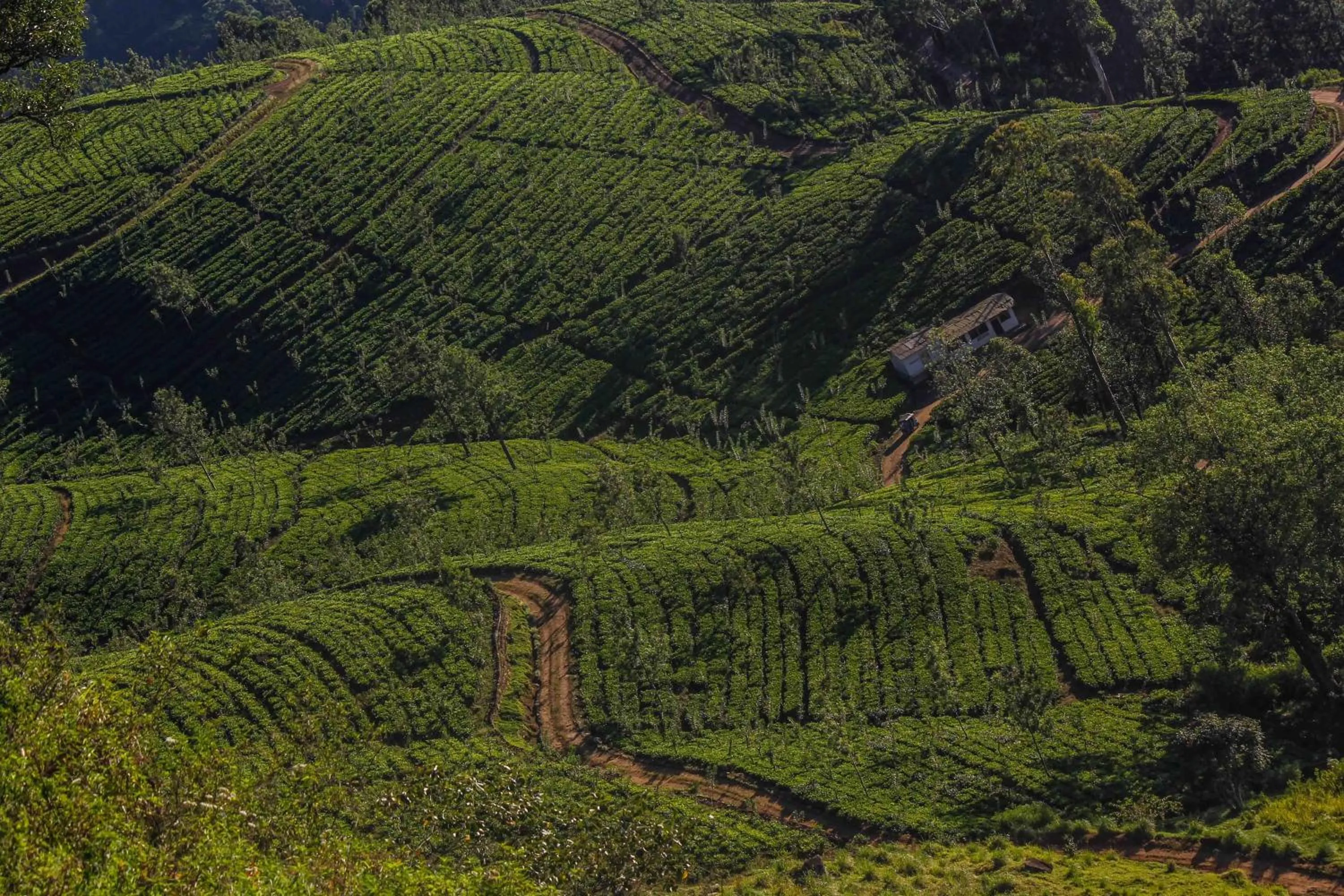 Natural landscape in Hatale Mini World's End Bungalow