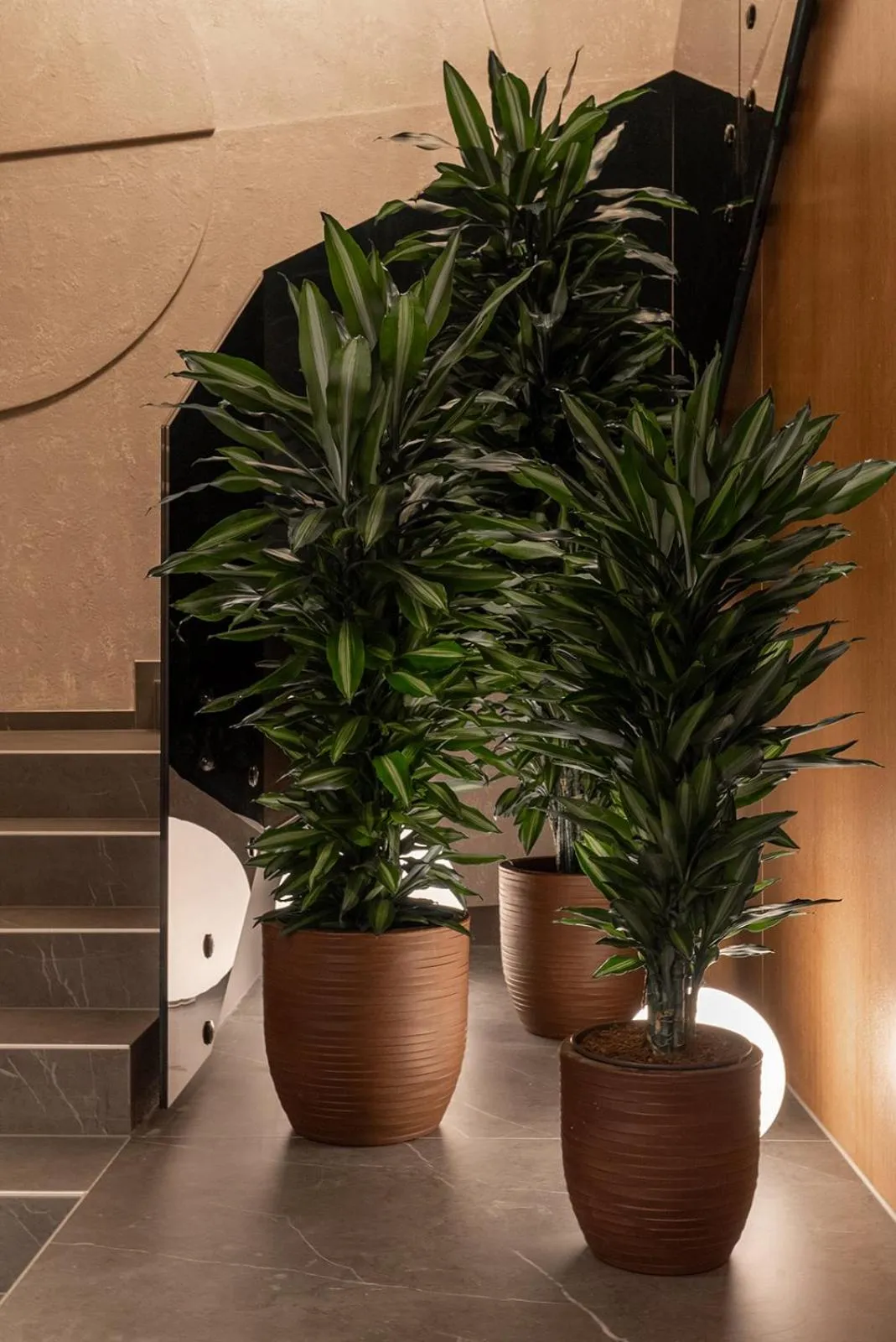 Lobby or reception in Garni Hotel Galeria