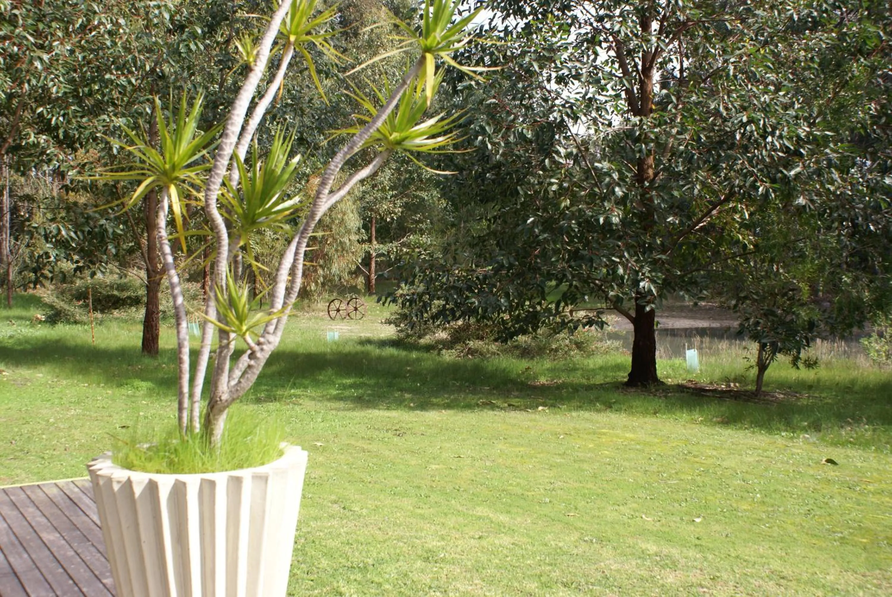 Garden in Ellensbrook Cottages