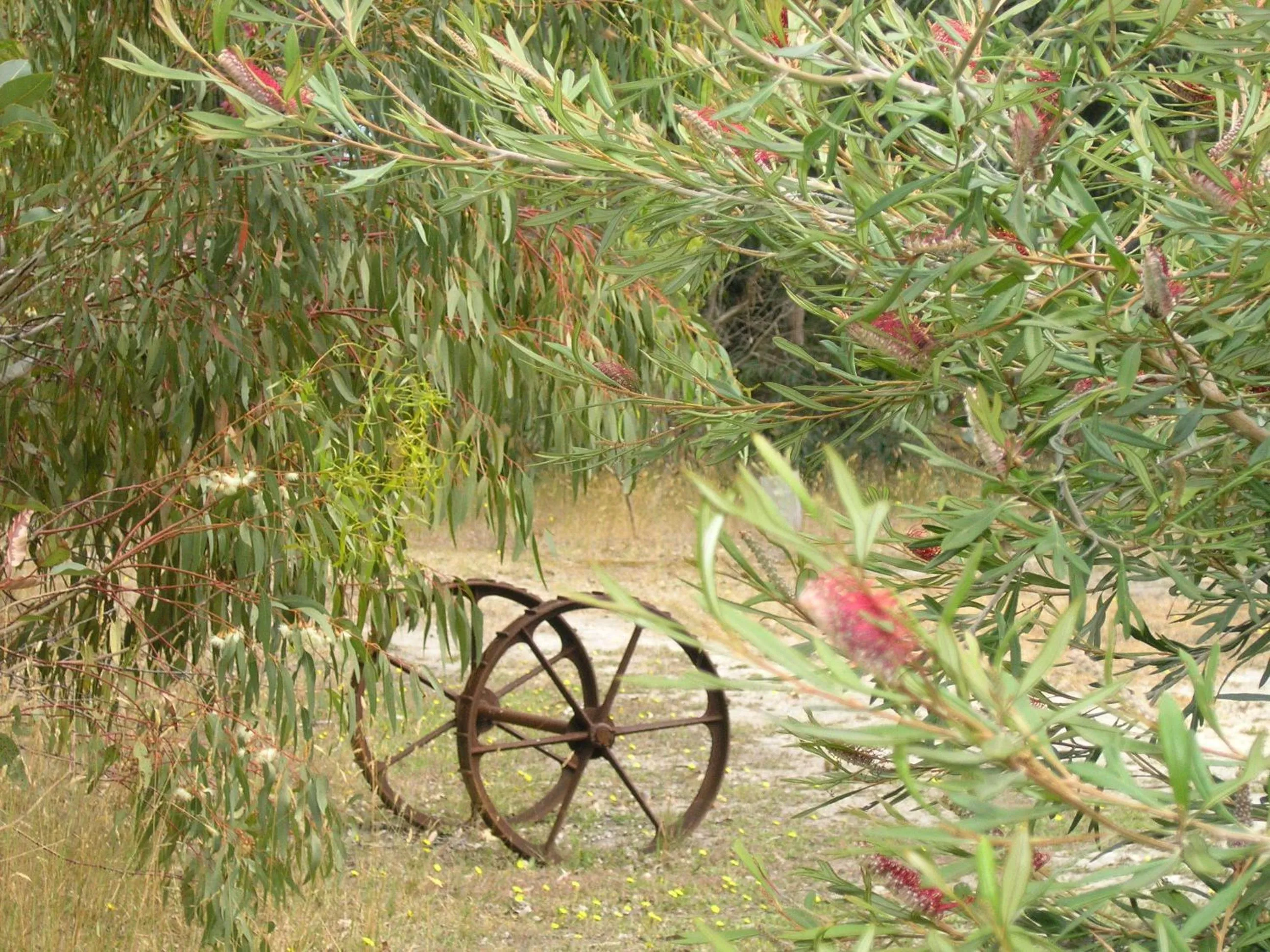 Spring in Ellensbrook Cottages