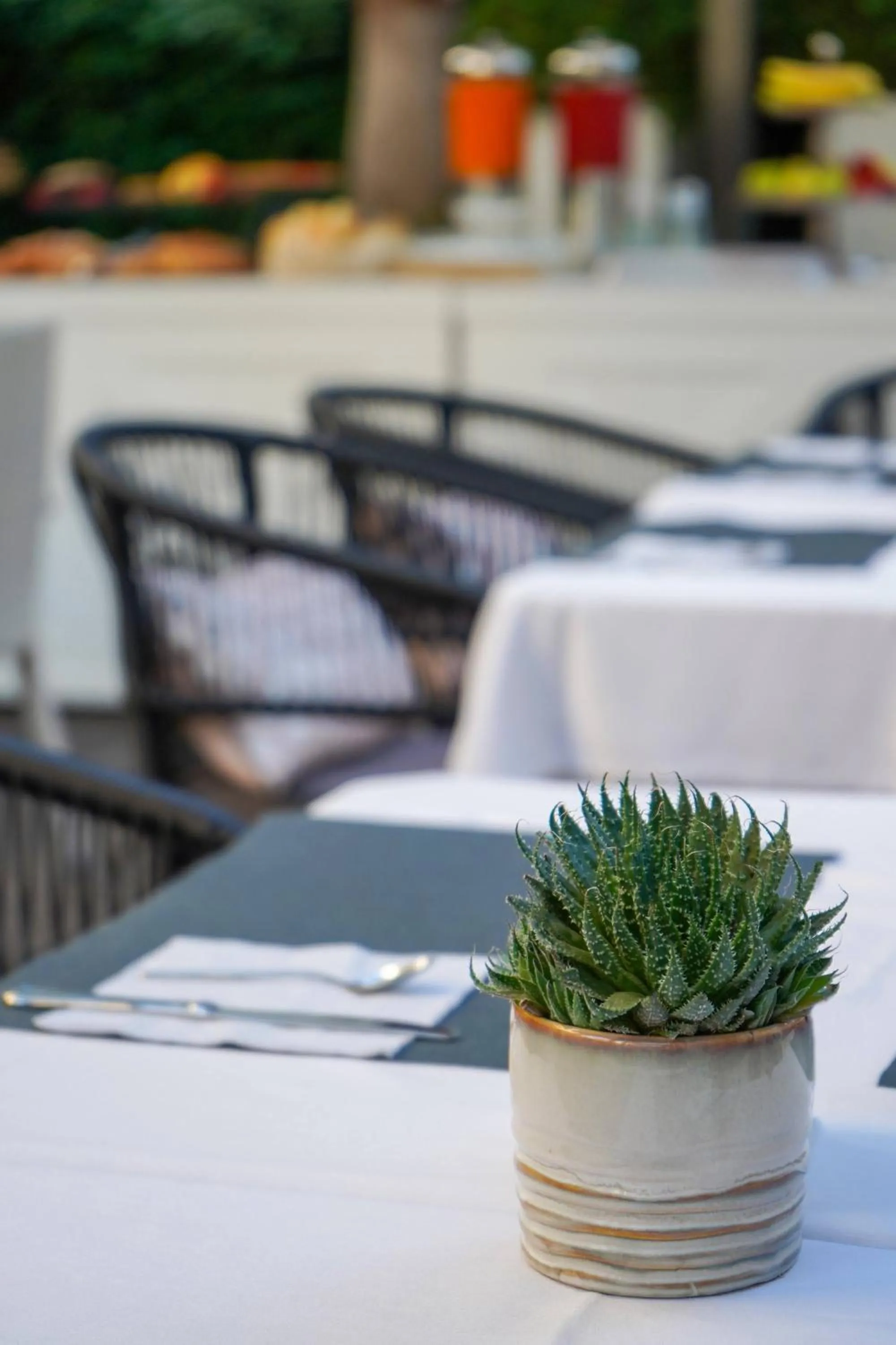 Restaurant/places to eat in Hotel Maestrale