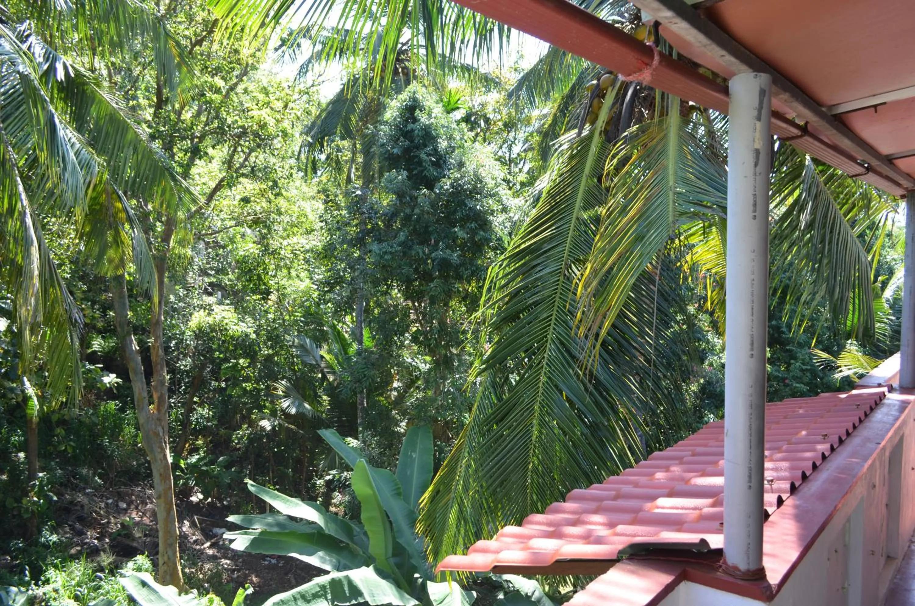 Property building in Hansa Villa
