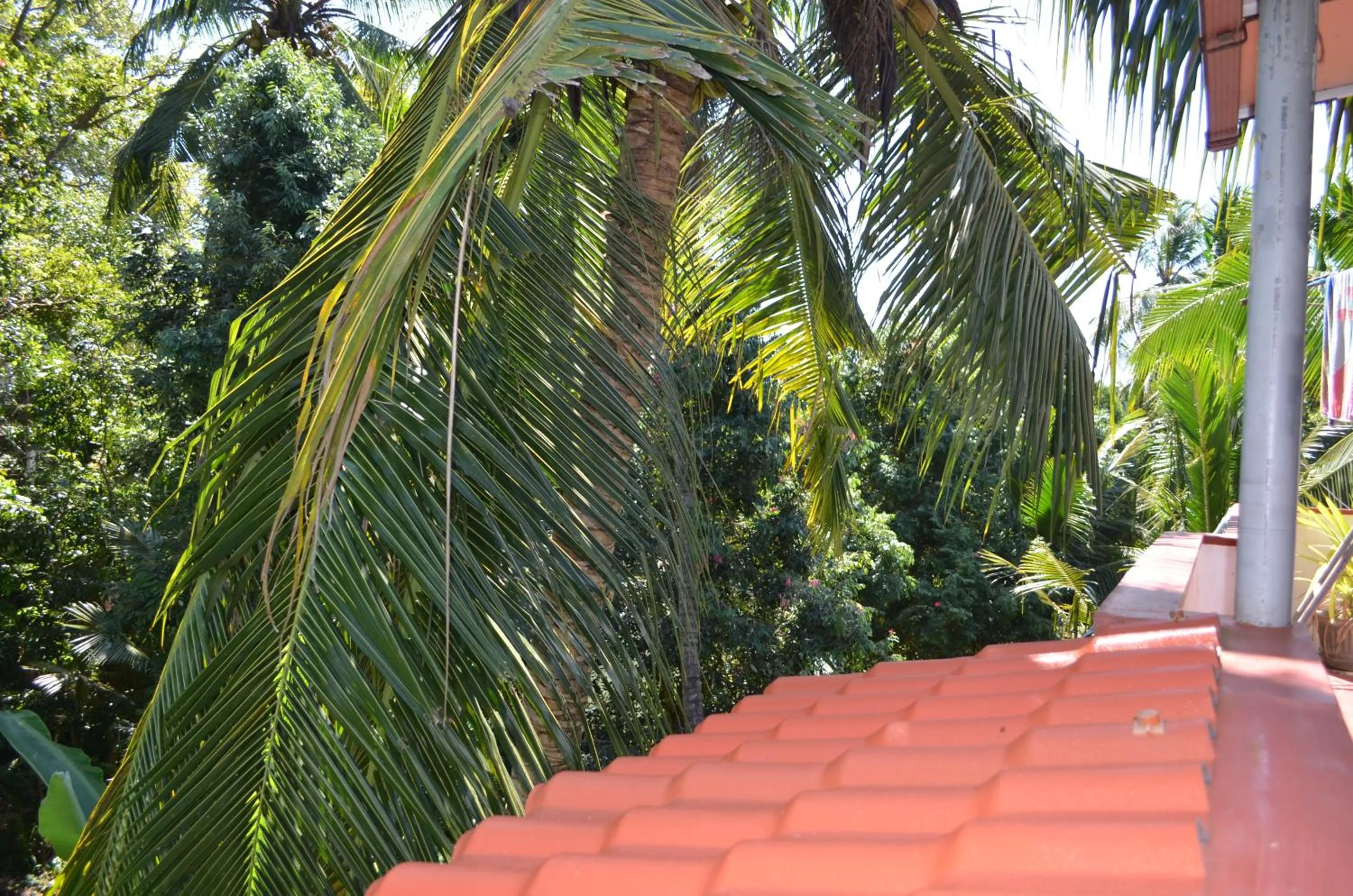 Property building in Hansa Villa