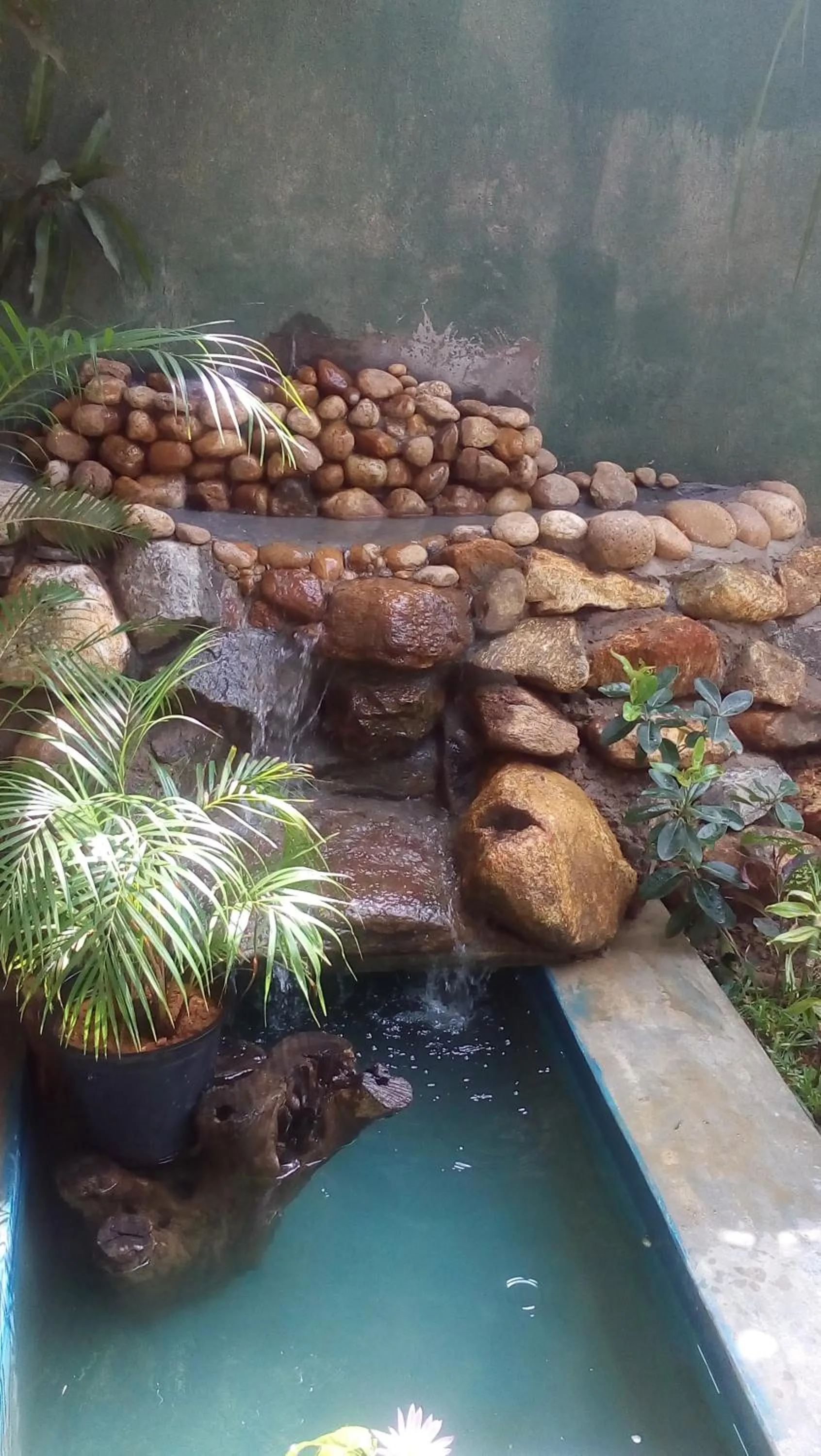 Garden in Hansa Villa