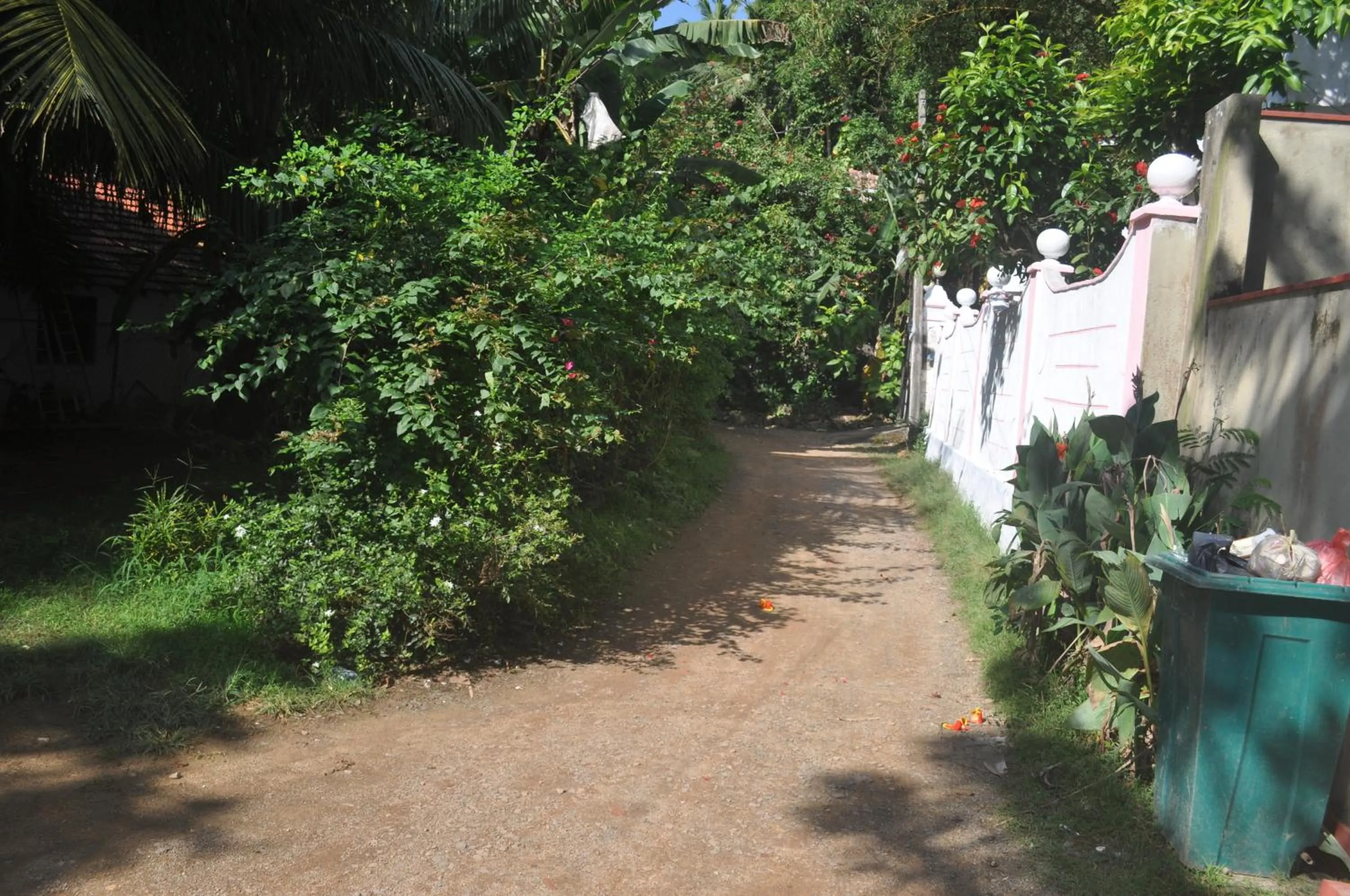 Day in Hansa Villa