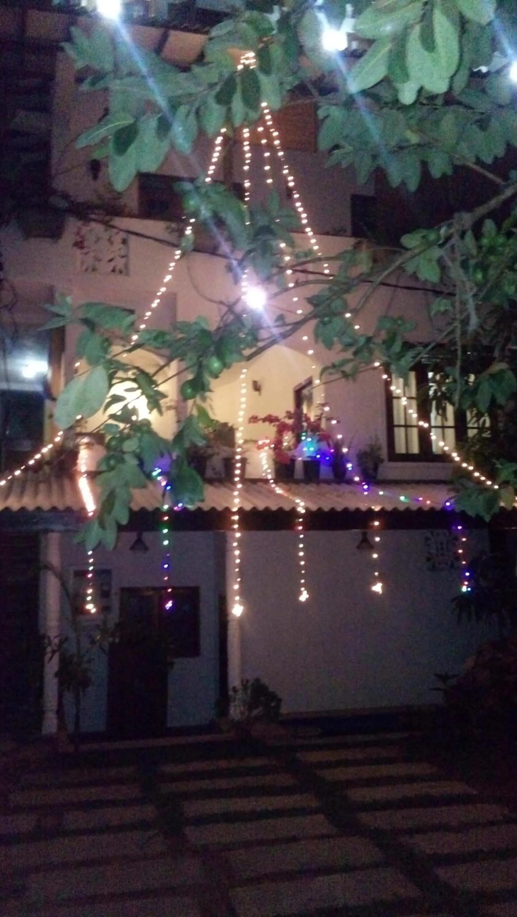 Property building in Hansa Villa