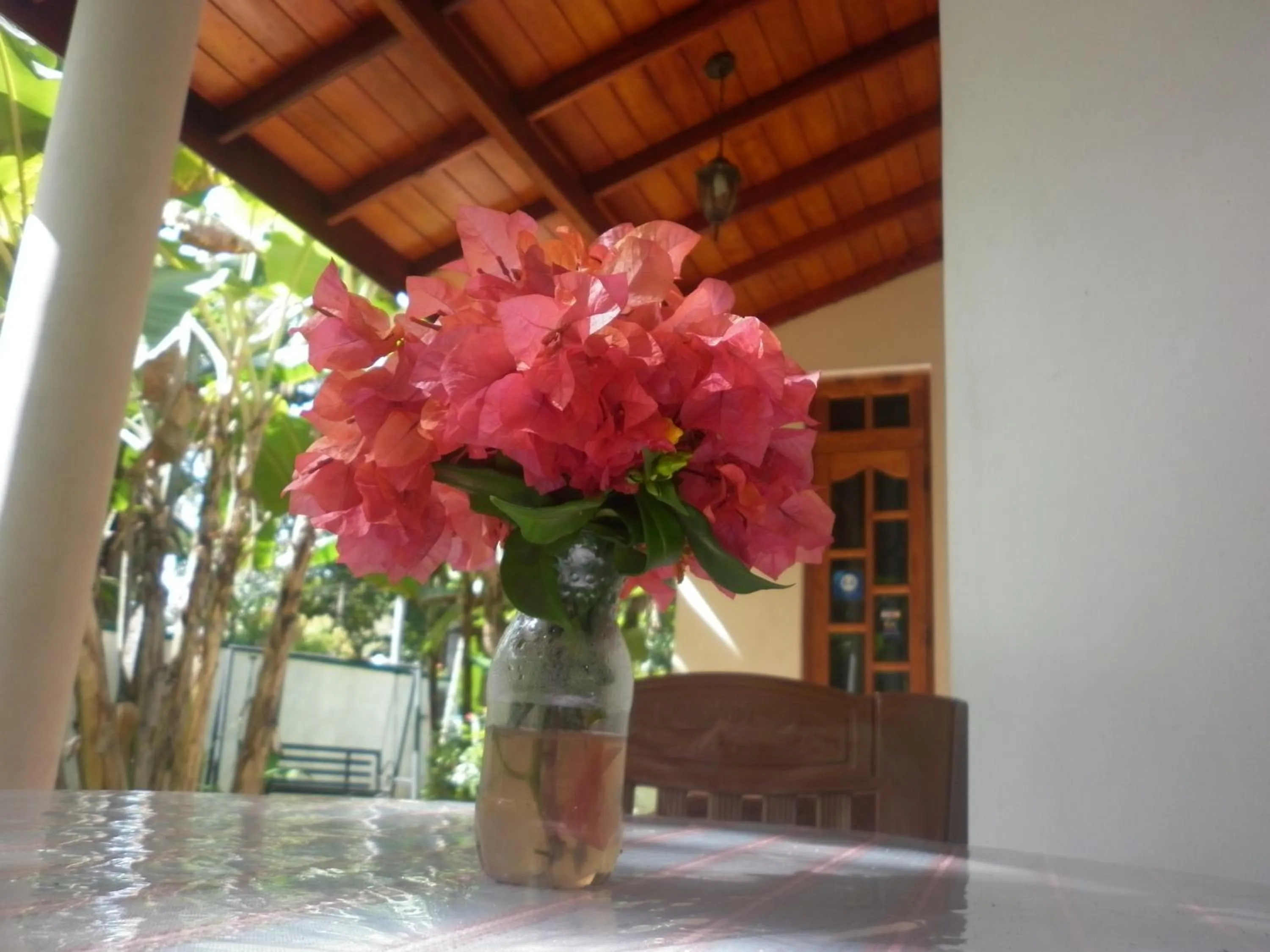 Decorative detail in Binara Home Stay