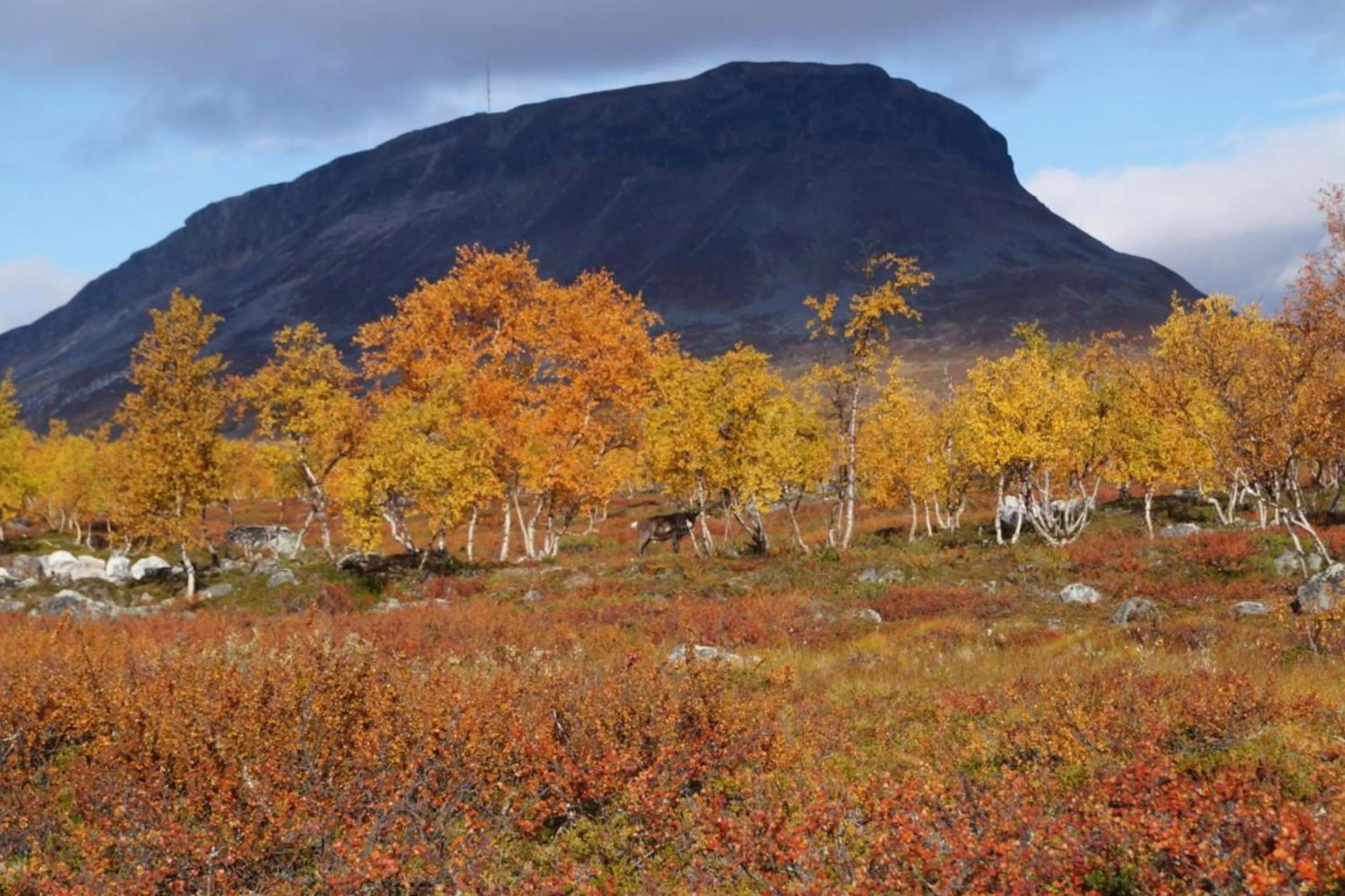 Natural landscape in Santa's Hotel Rakka