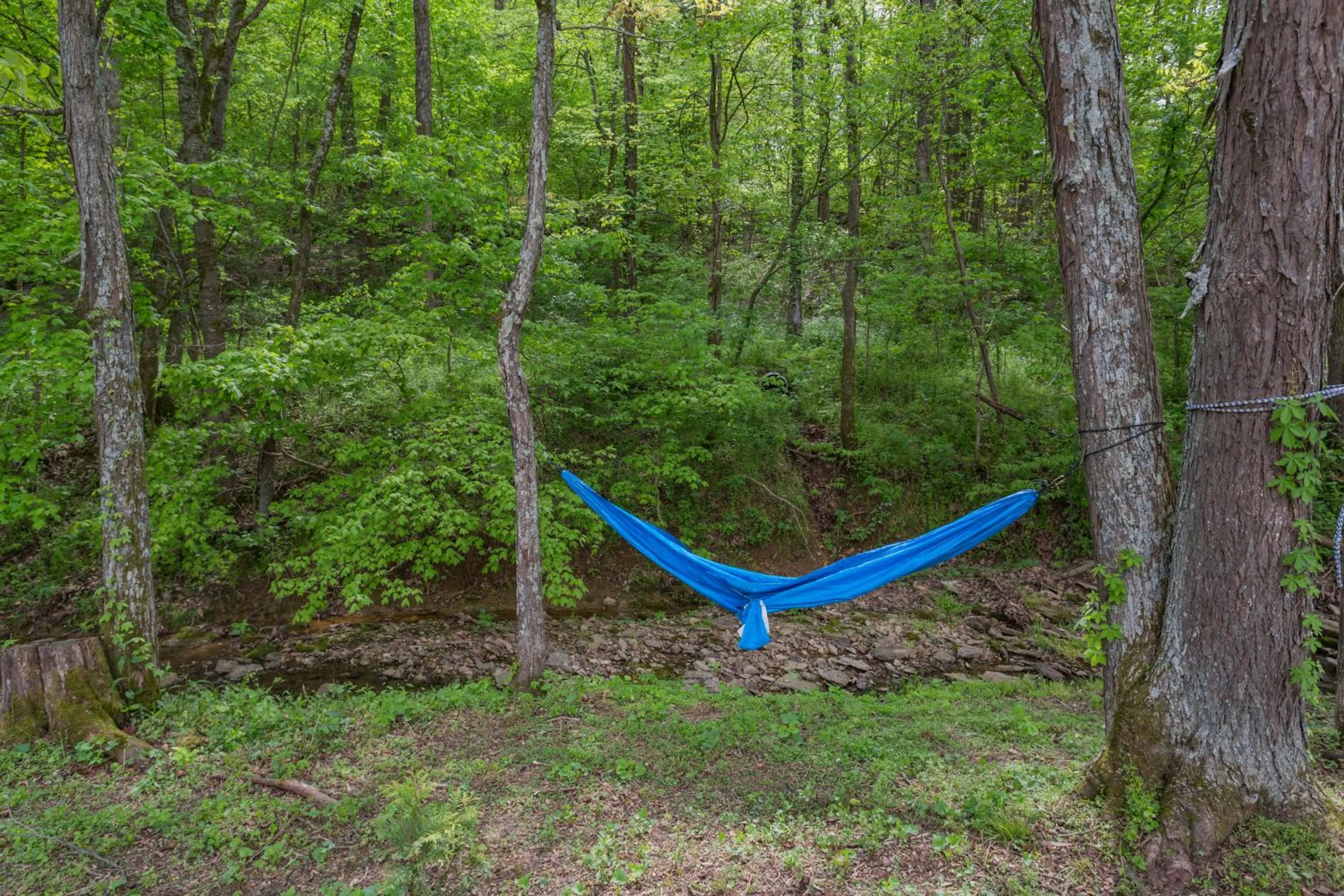 Other in Brenda Lee History 2BR Villa Pool Hot Tub