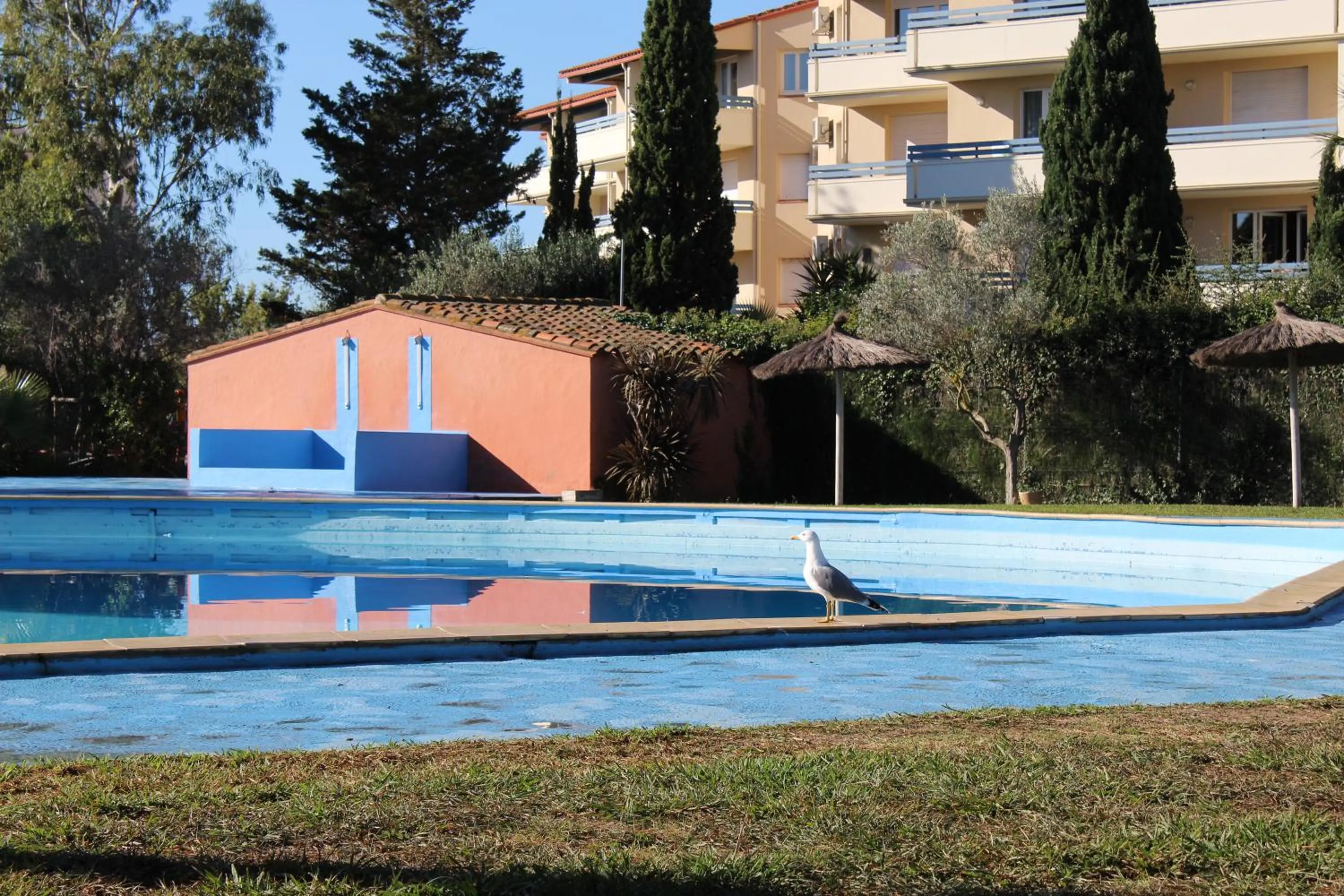 Swimming pool in Malibu Village