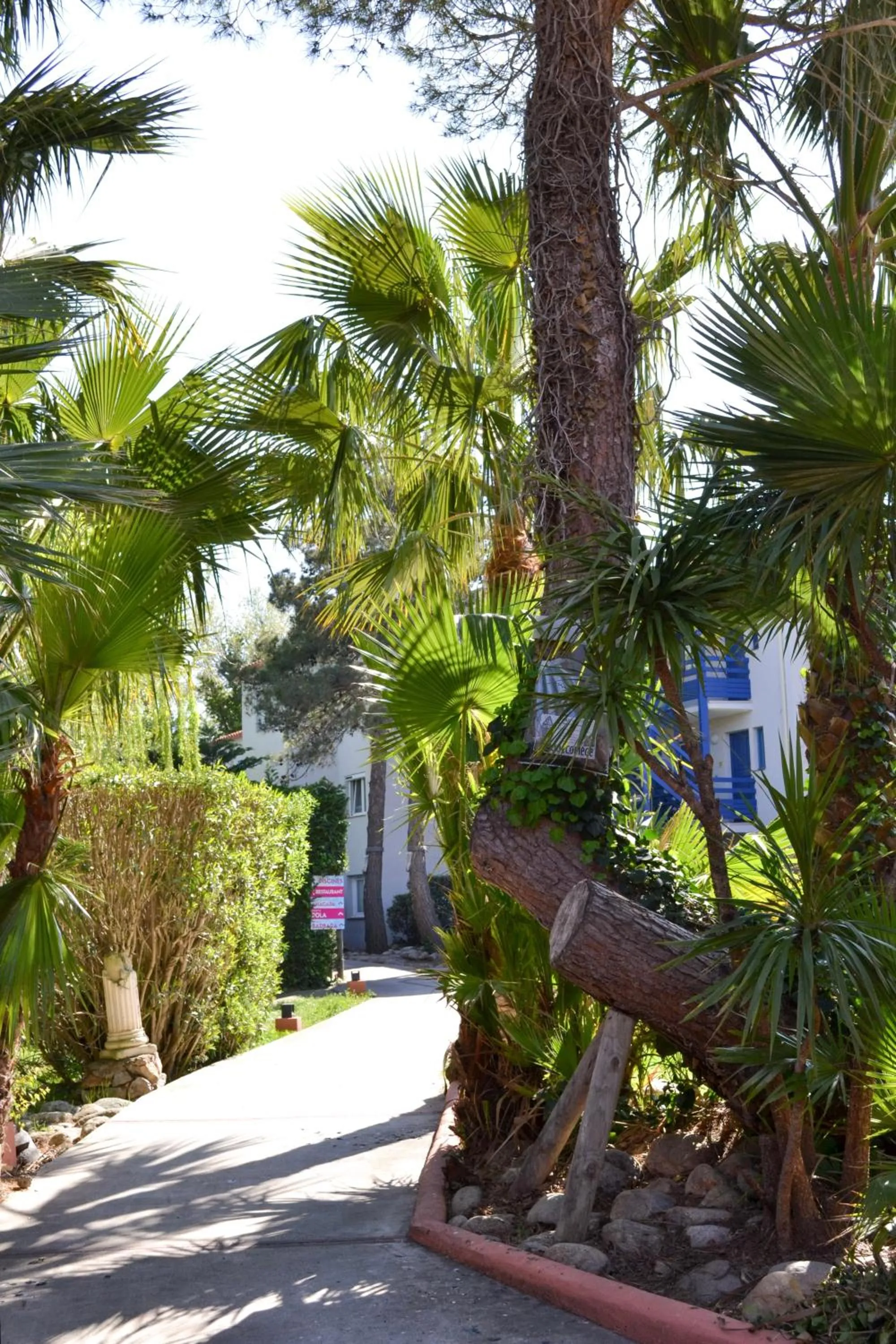 Garden in Malibu Village