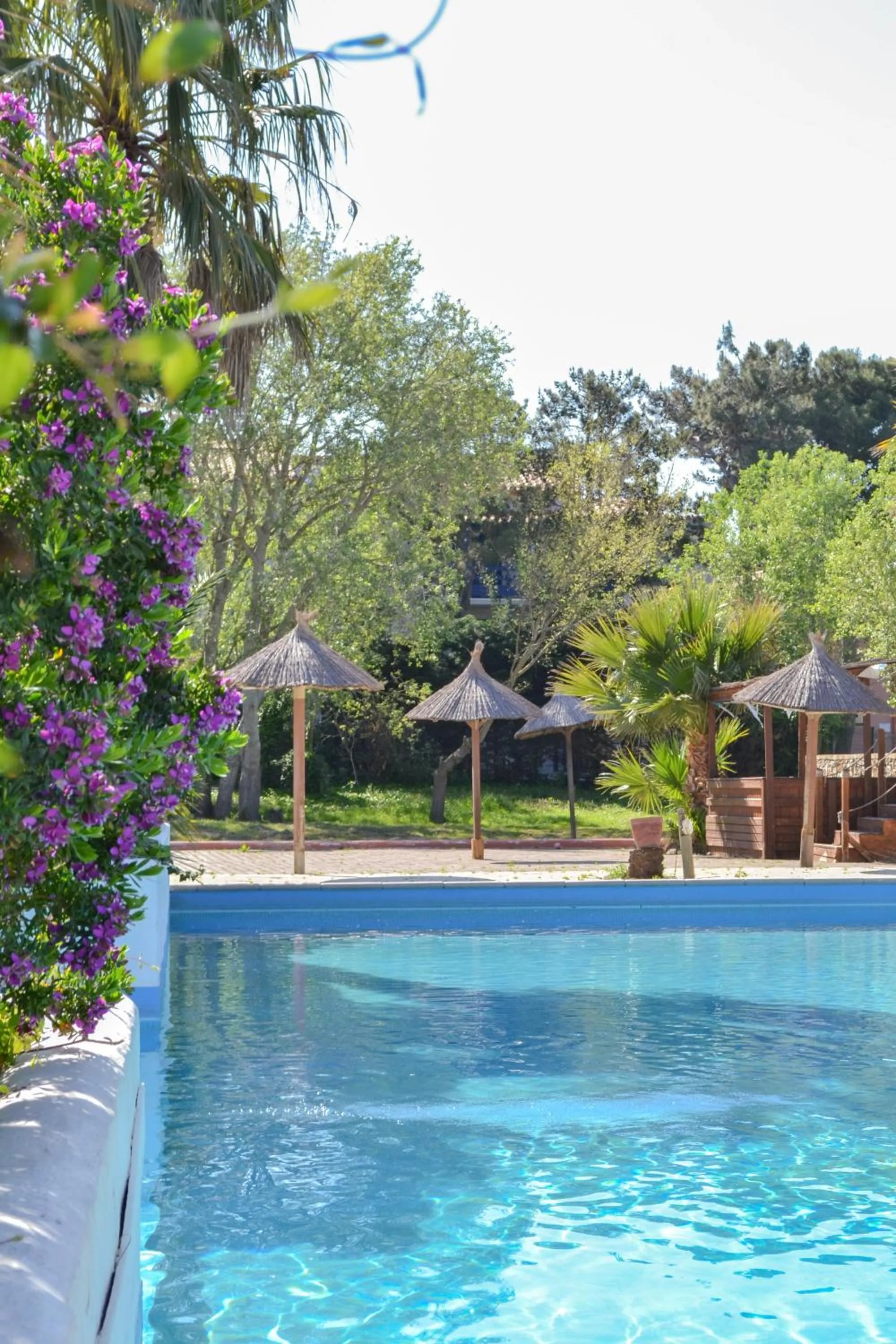 Swimming pool in Malibu Village
