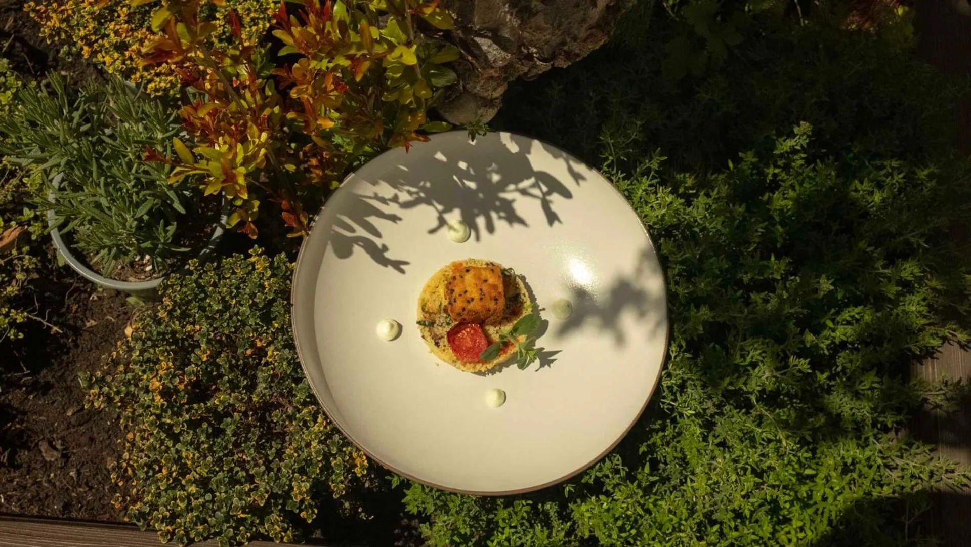 Food in Hotel Mühlbacherhof