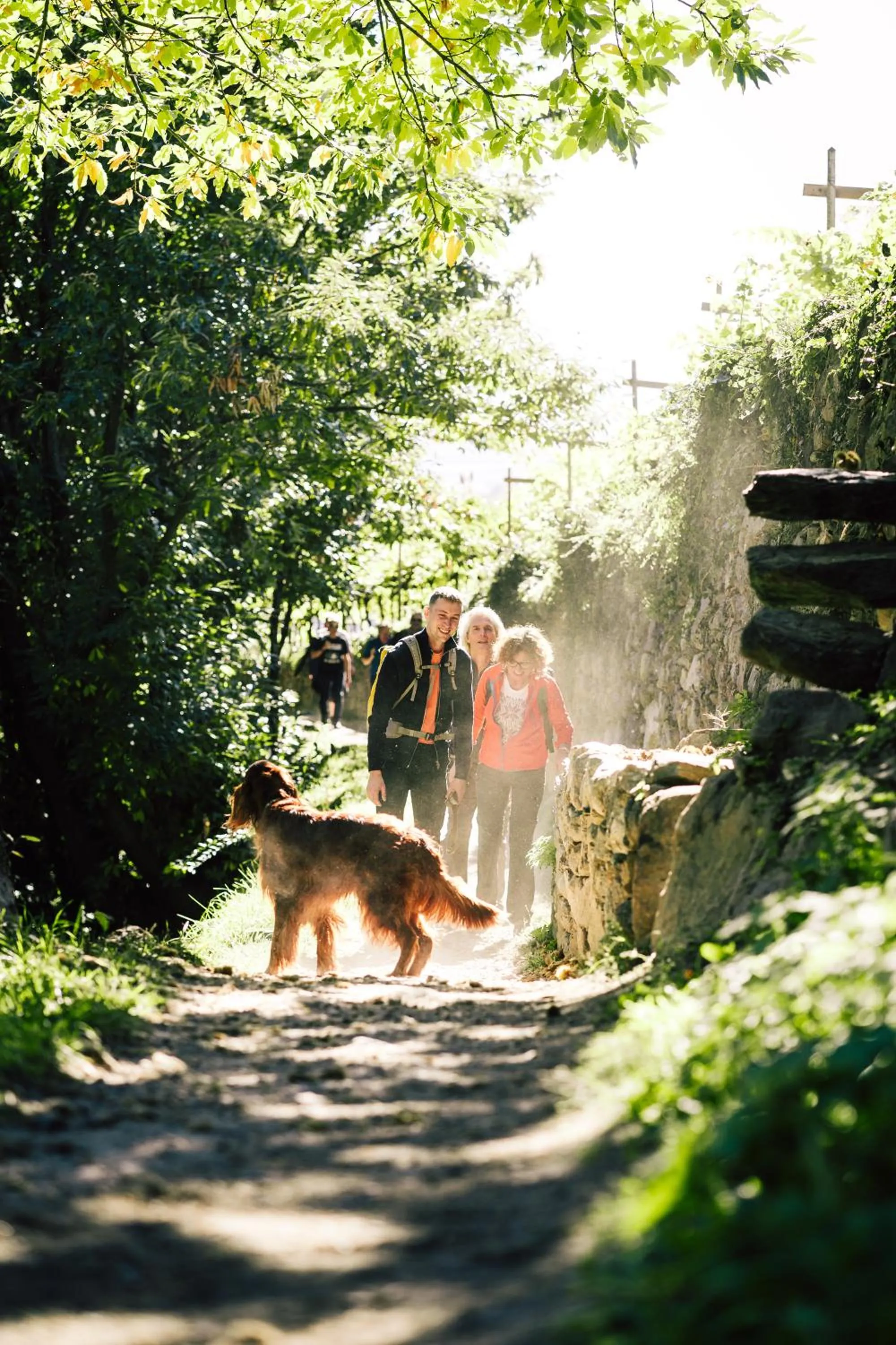 Hiking in Hotel Mühlbacherhof
